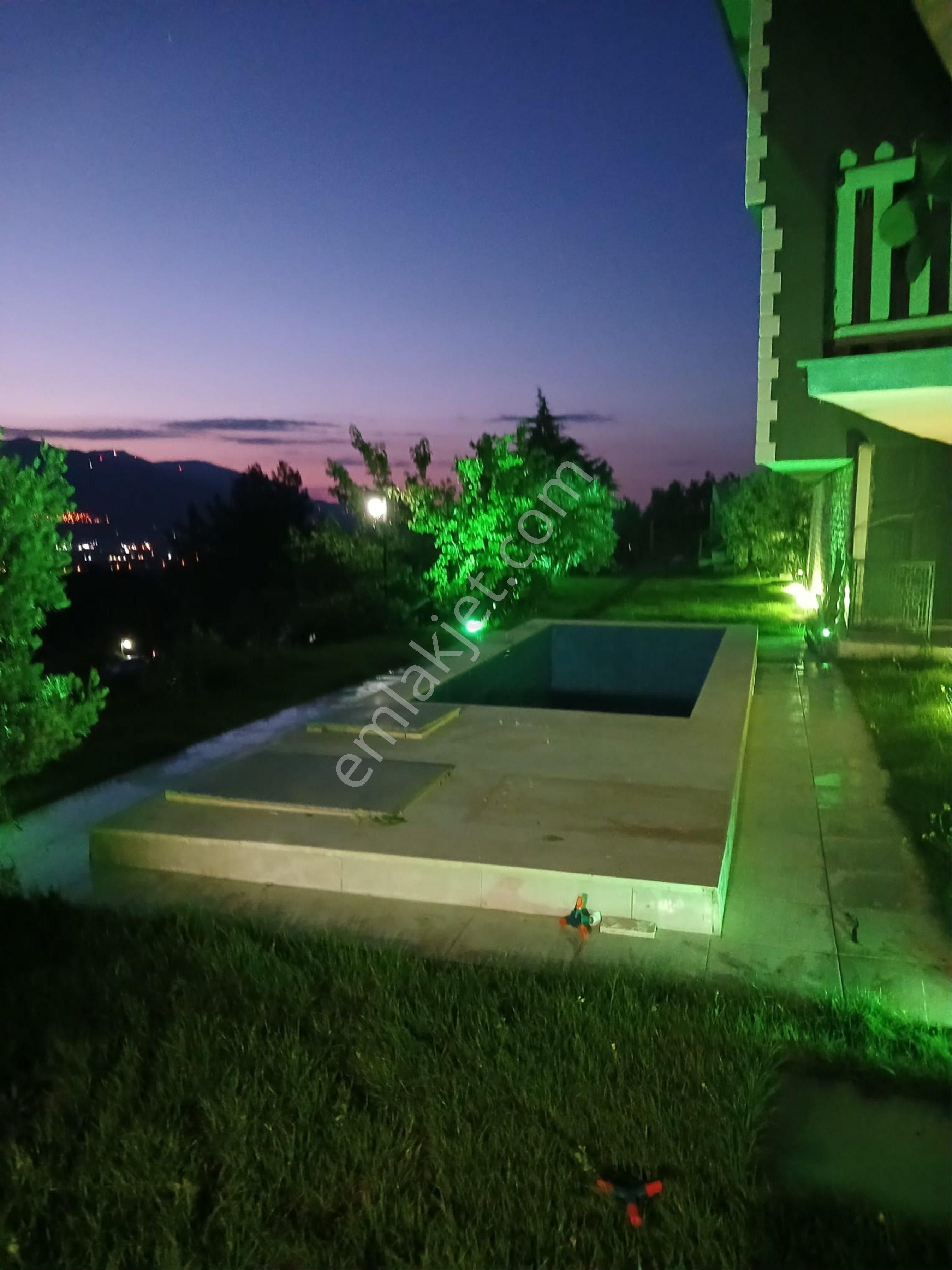 Kemalpaşa Armutlu Hür. Mh. İçerisinde Villa Bulunan Zeytinlik Ve Bağ - Görsel 7