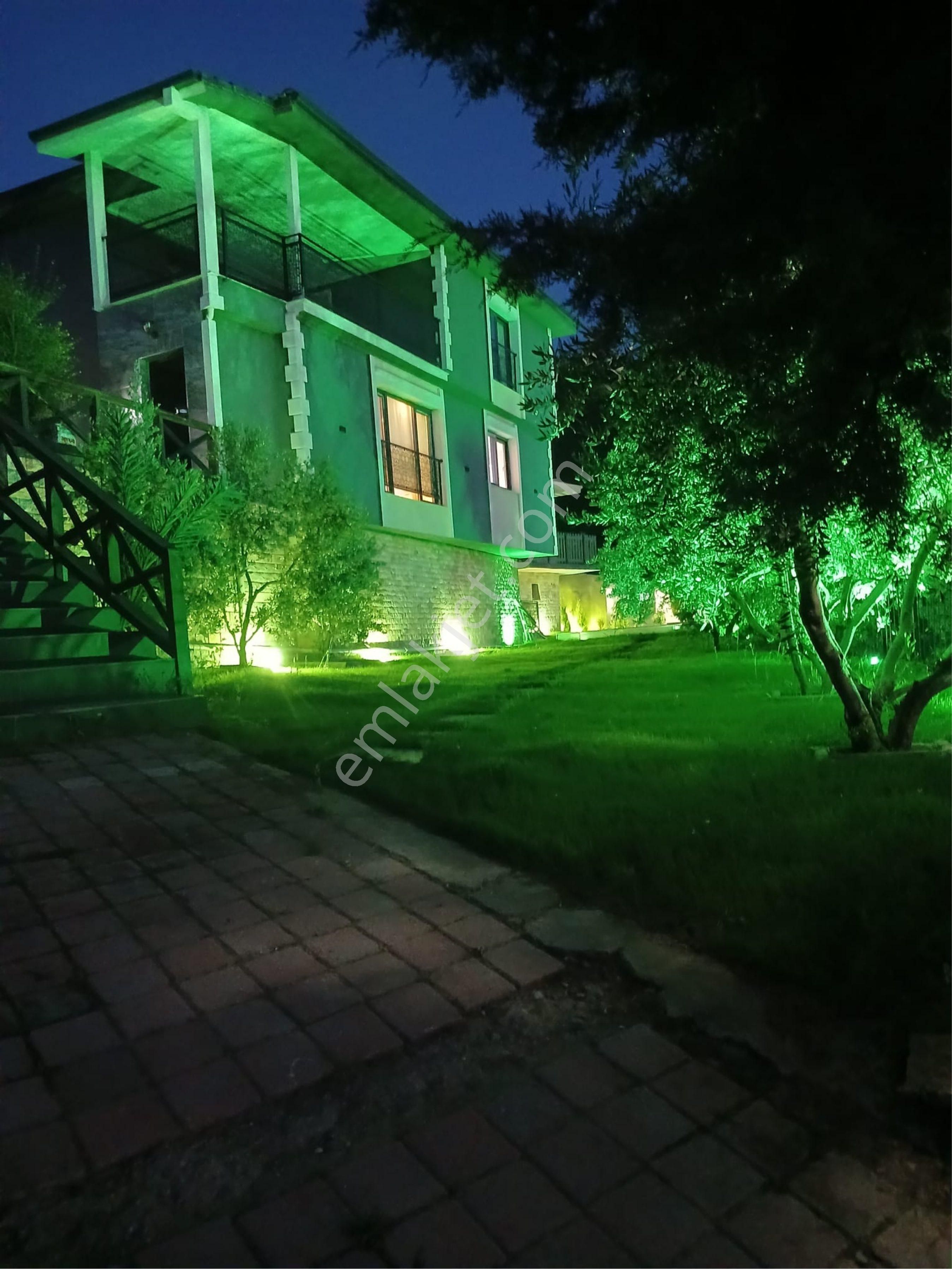 Kemalpaşa Armutlu Hür. Mh. İçerisinde Villa Bulunan Zeytinlik Ve Bağ - Görsel 16