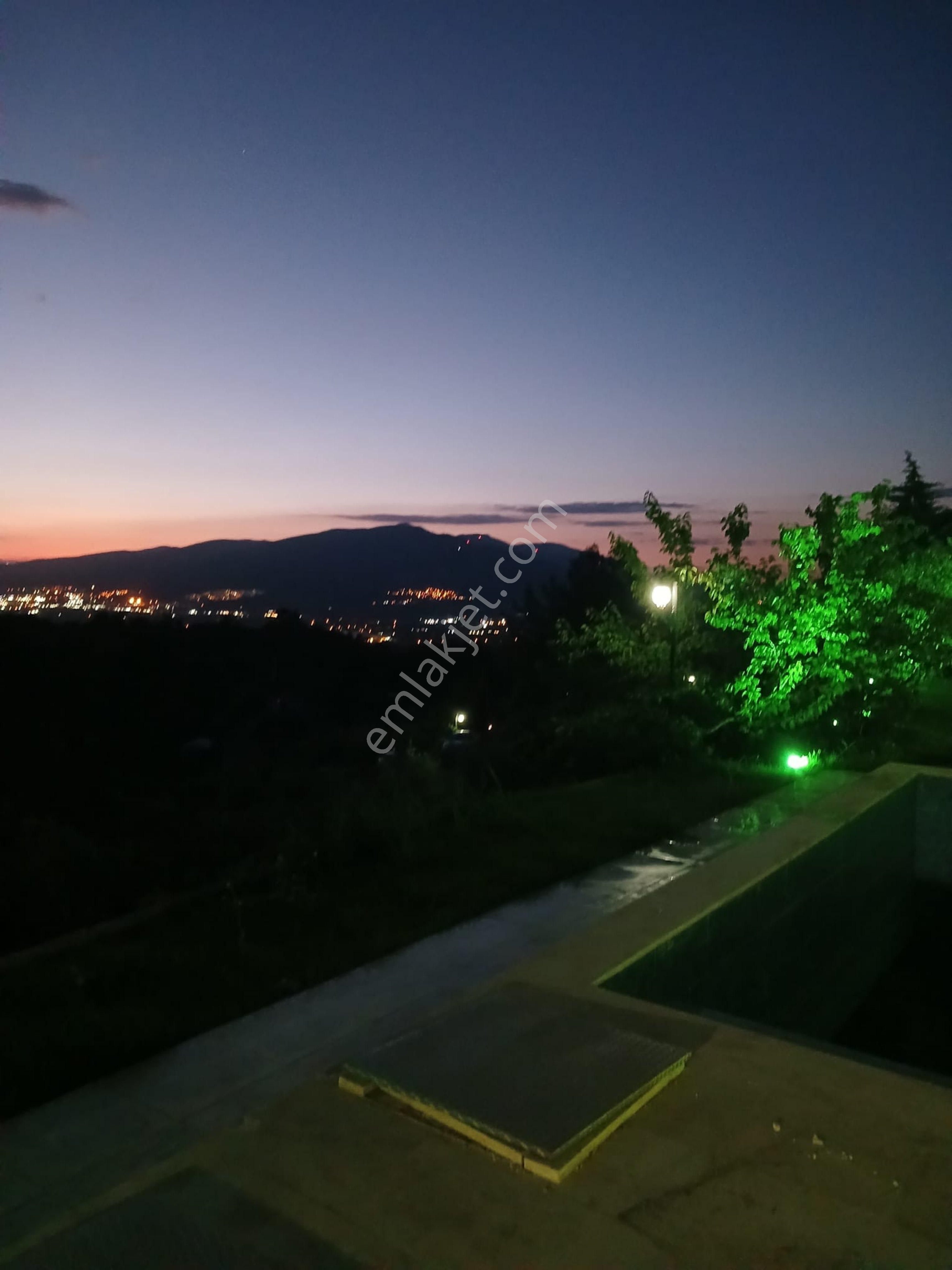 Kemalpaşa Armutlu Hür. Mh. İçerisinde Villa Bulunan Zeytinlik Ve Bağ - Görsel 10
