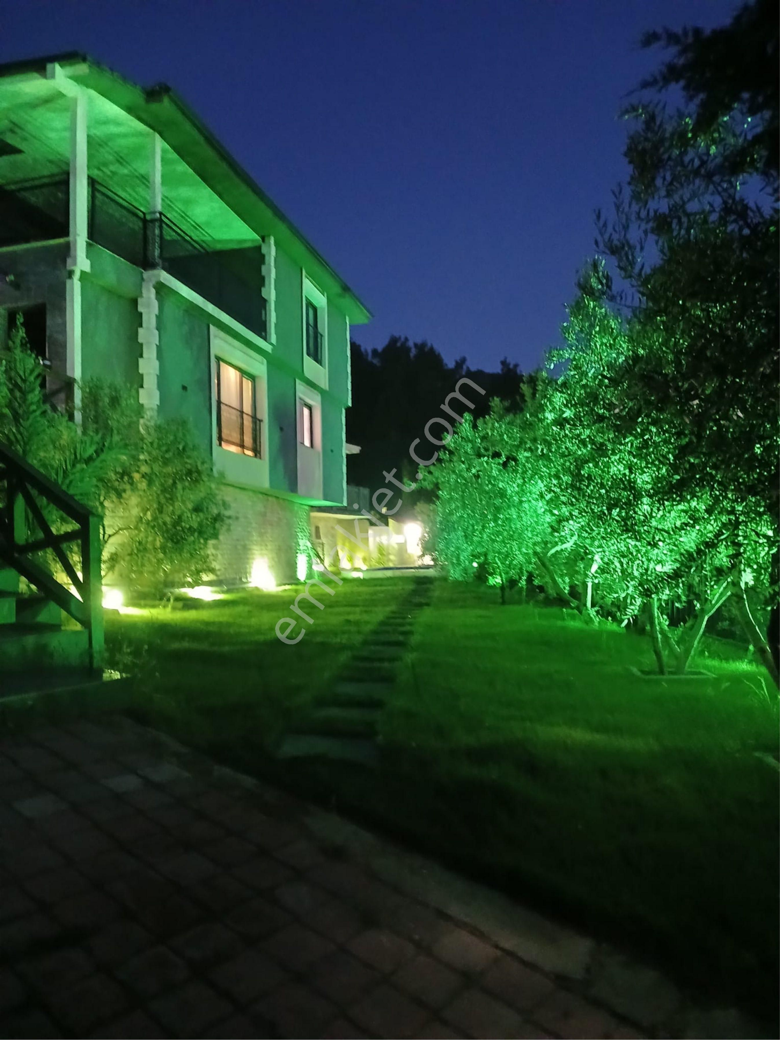 Kemalpaşa Armutlu Hür. Mh. İçerisinde Villa Bulunan Zeytinlik Ve Bağ - Görsel 9
