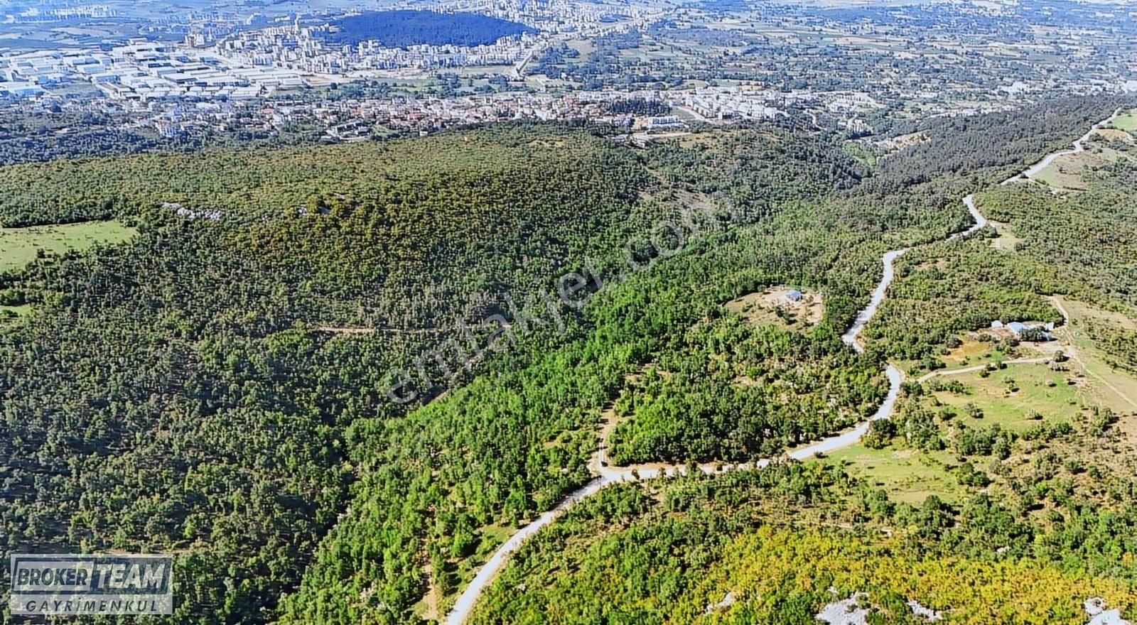 Kayapa Fırsat Fiyata Satılık Tek Tapu 4.203m2 Satılık Arazi