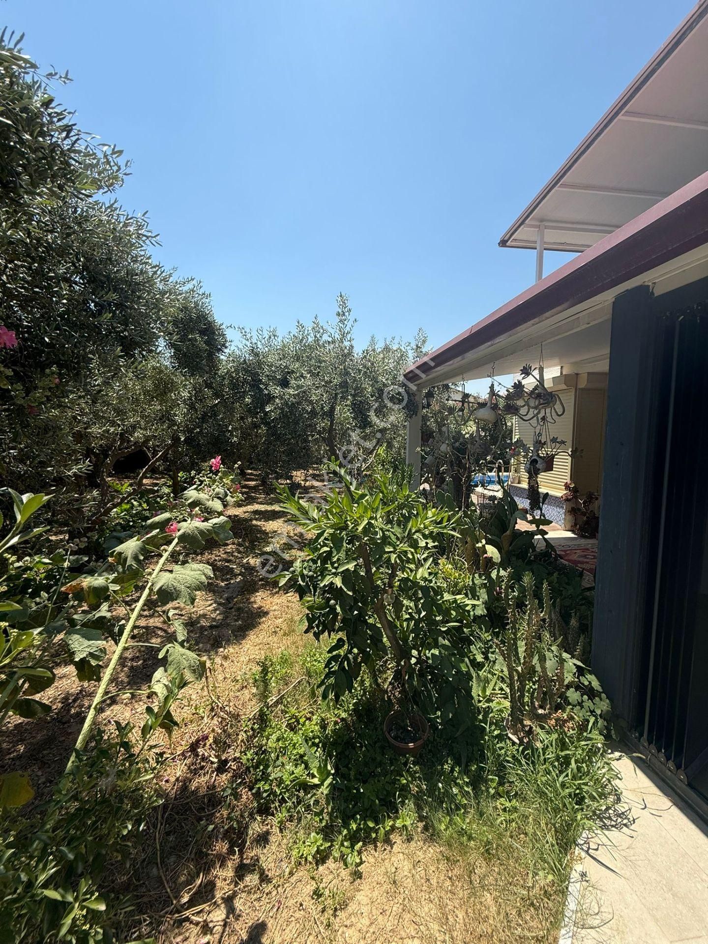 Kuşadası Karaova Mah. Satılık Havuzlu,bahçeli Müstakil Ev - Görsel 10