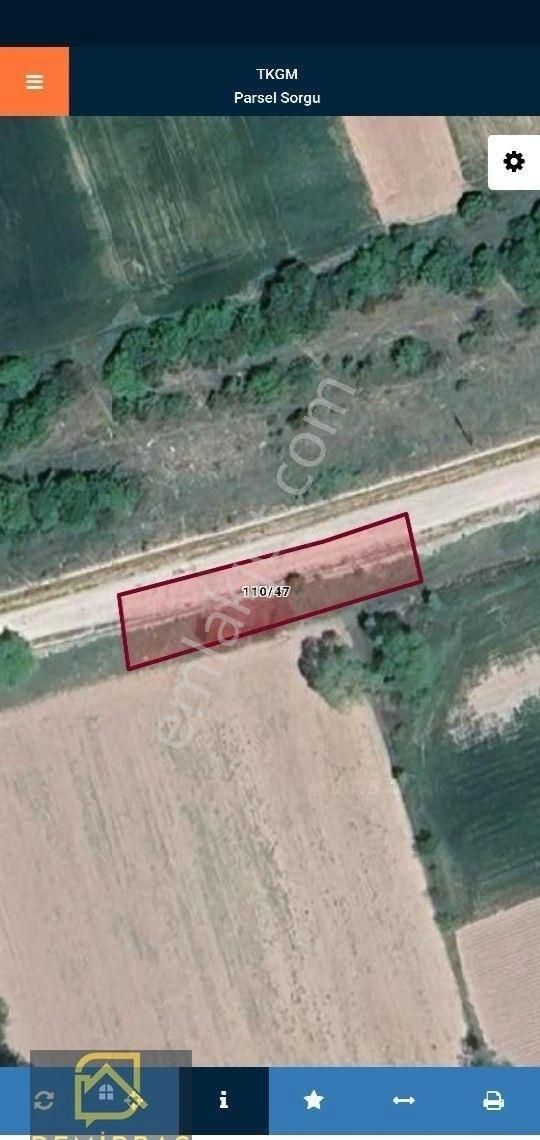 Satılık Tarla – Bolu Merkez Demirciler Köyü
