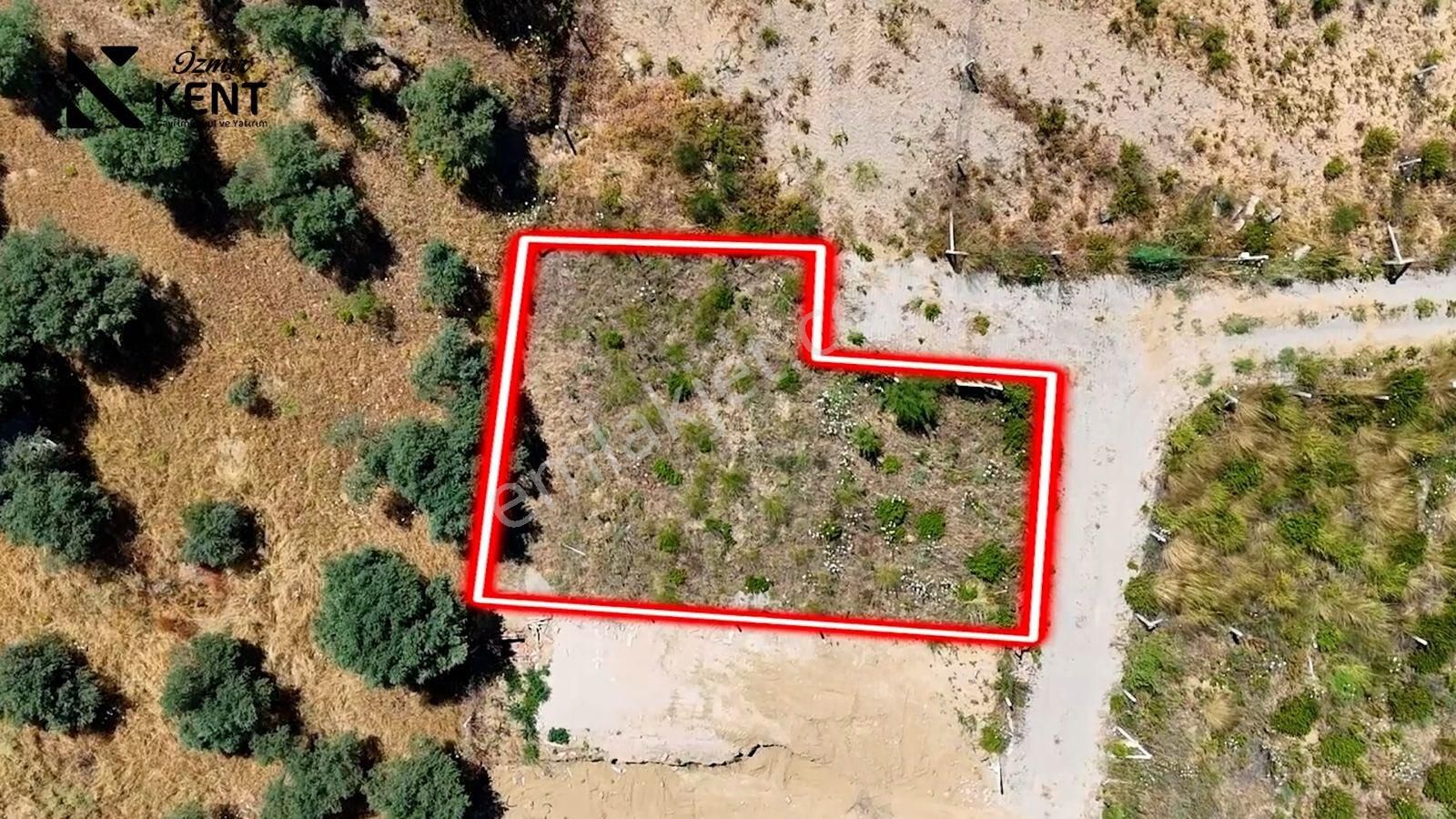 Kemalpaşa Yukarı Kızılca Satılık 303 M2 Bahçe - Görsel 4