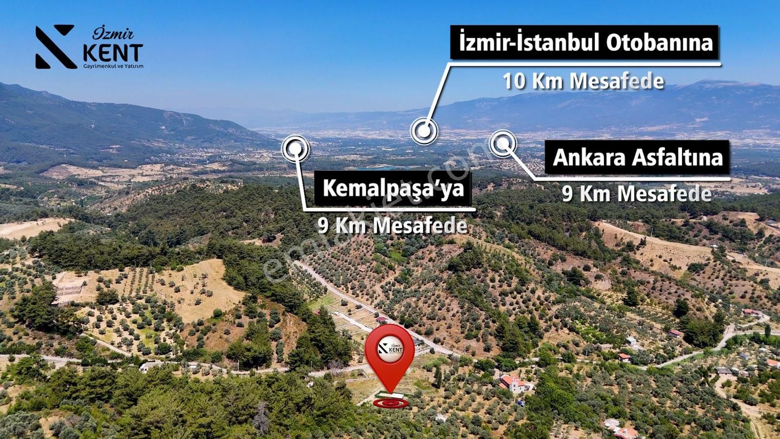 Kemalpaşa Yukarı Kızılca Satılık 303 M2 Bahçe - Görsel 11