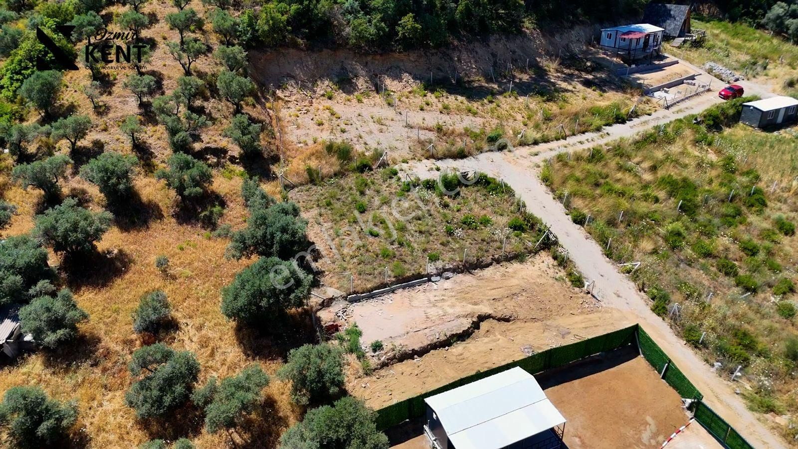 Kemalpaşa Yukarı Kızılca Satılık 303 M2 Bahçe - Görsel 6
