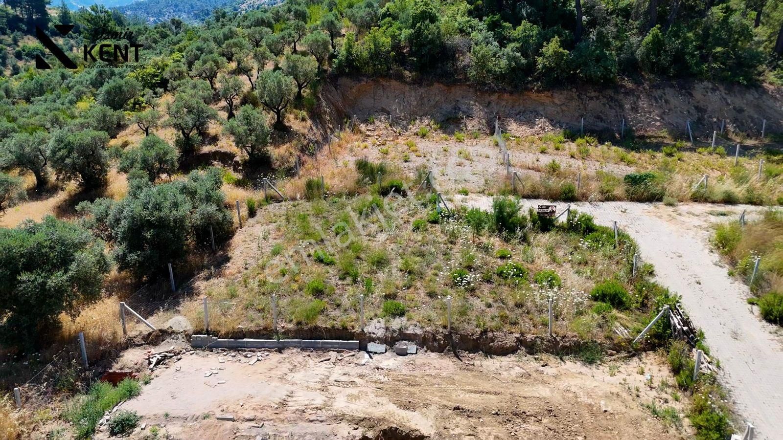 Kemalpaşa Yukarı Kızılca Satılık 303 M2 Bahçe - Görsel 5