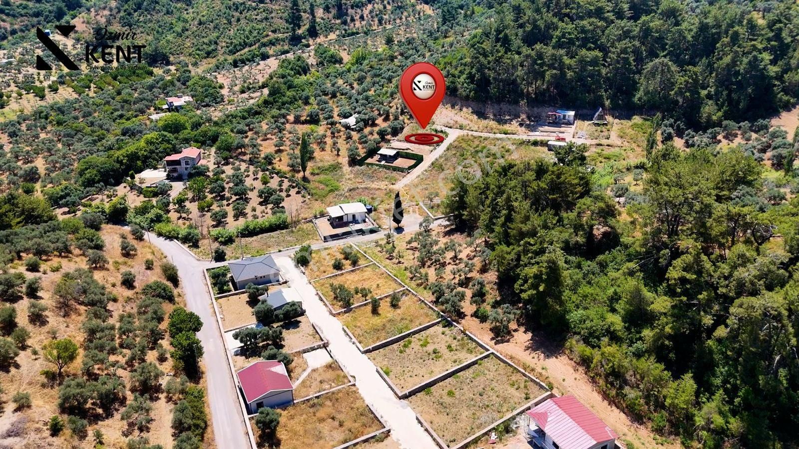 Kemalpaşa Yukarı Kızılca Satılık 303 M2 Bahçe - Görsel 3