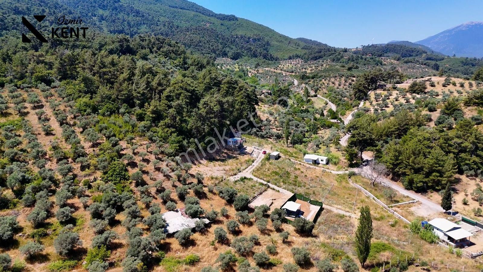 Kemalpaşa Yukarı Kızılca Satılık 303 M2 Bahçe - Görsel 14