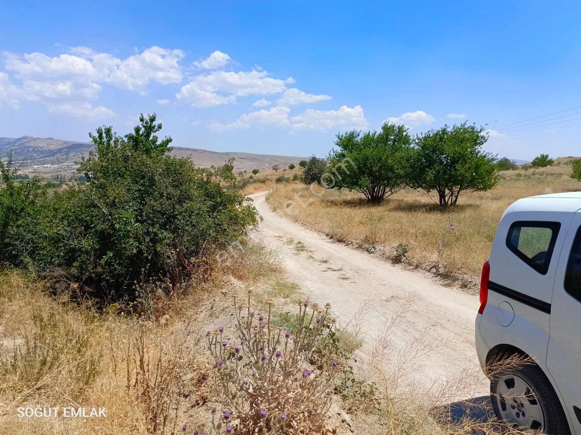 Söğüt Emlak'tan Kumyaka Da Satılık Tarla Yol Var
