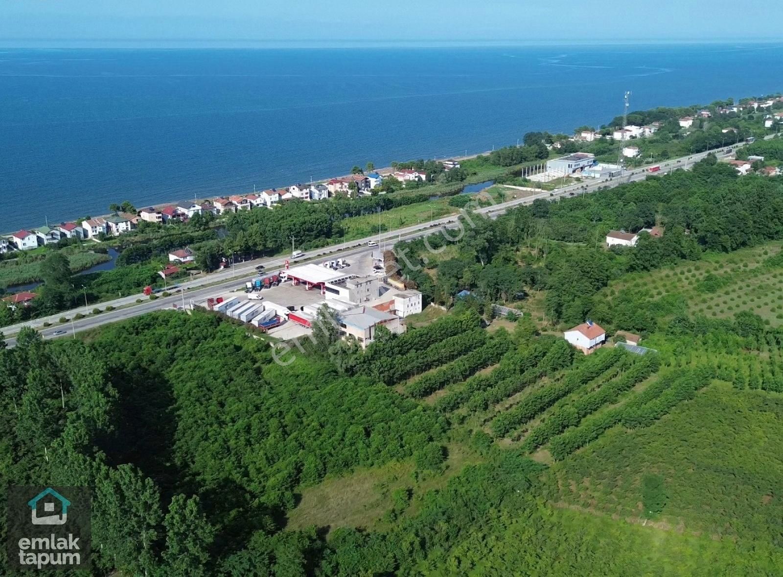 Ünye Terme Arasında Sahil Yoluna Cephe 5847m2 Satılık Arsa - Görsel 4