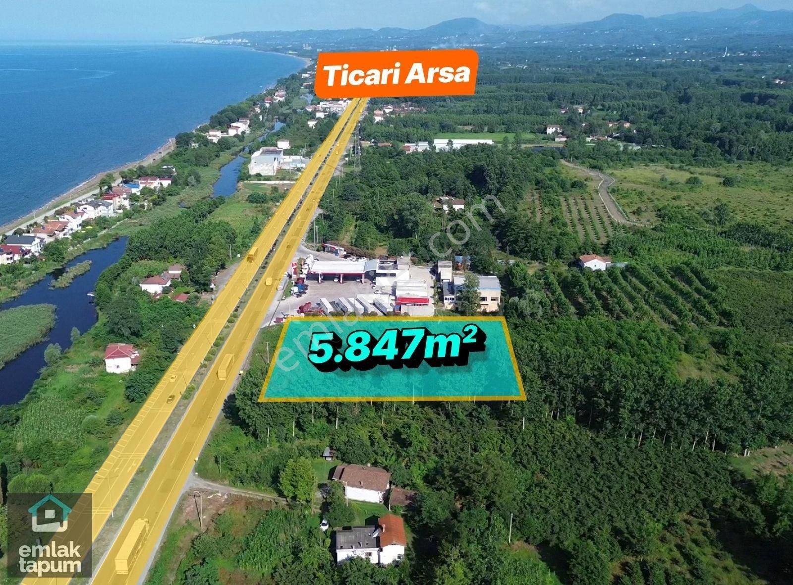 Ünye Terme Arasında Sahil Yoluna Cephe 5847m2 Satılık Arsa