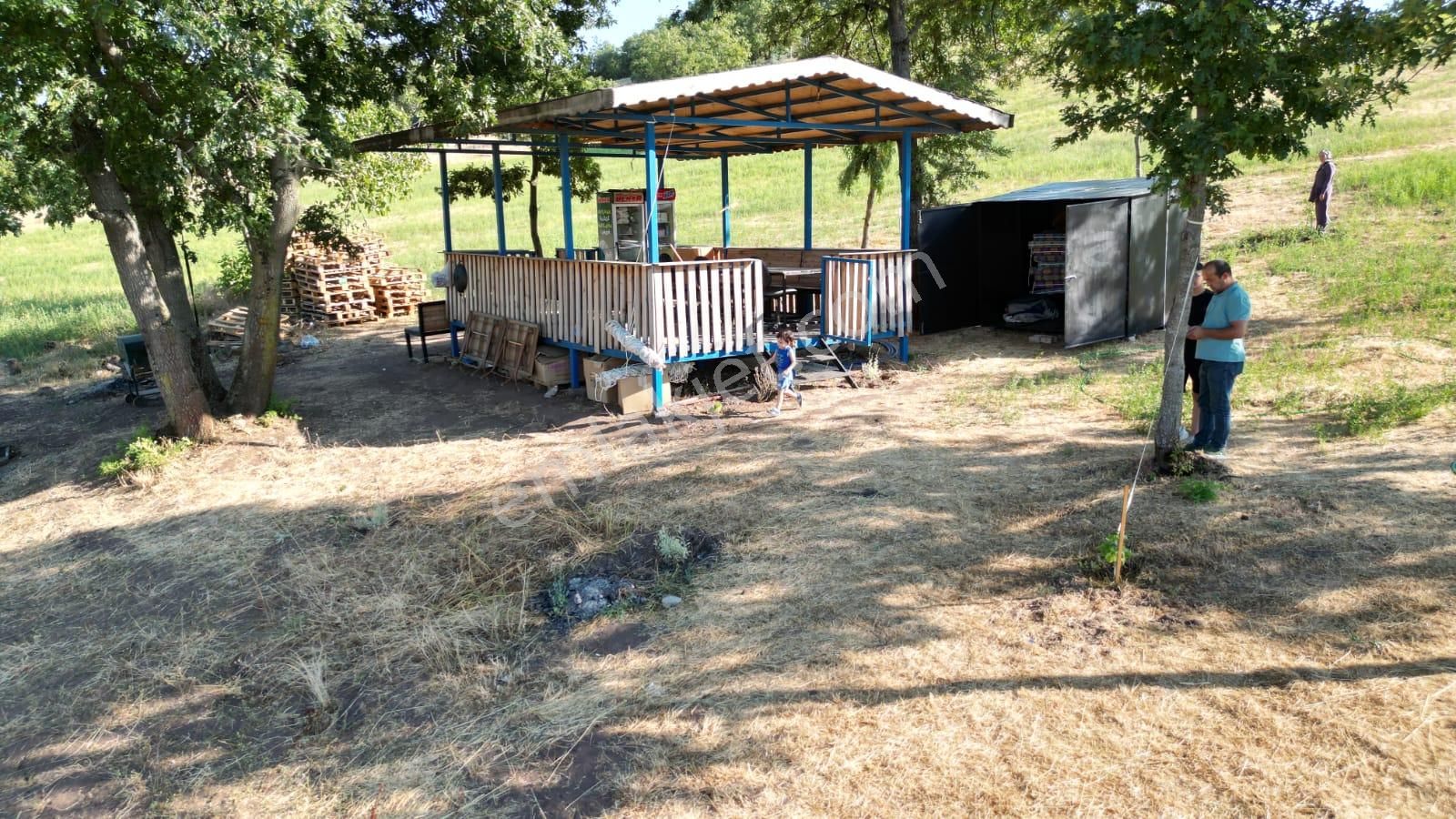 Yenişehir Akbıyık Mah.4 Tapu 16291 M2 Tarım Ve Hayvancılık İçin Uygun