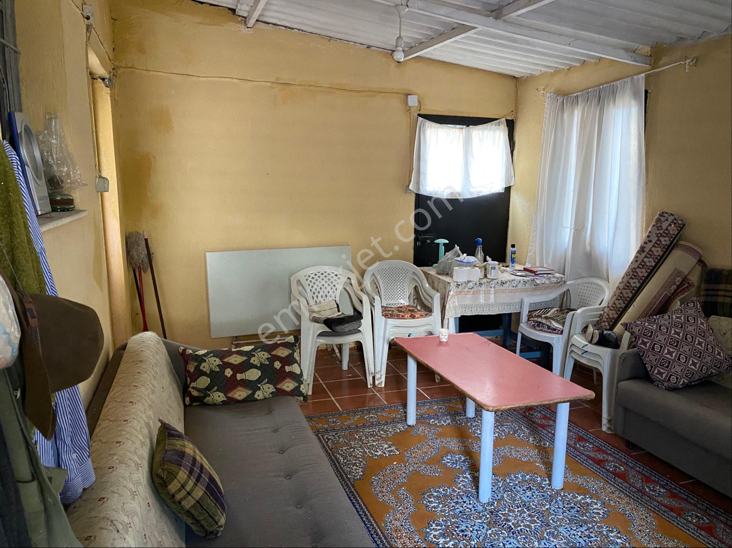 Yatırımlık Zeytinlik - Görsel 4
