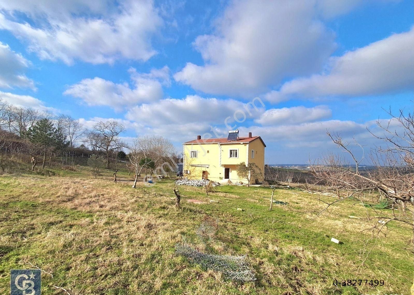 Havalimanına Komşu, Satılık Çiftlik. 11.609 M2 Arsa & Villa. - Görsel 20