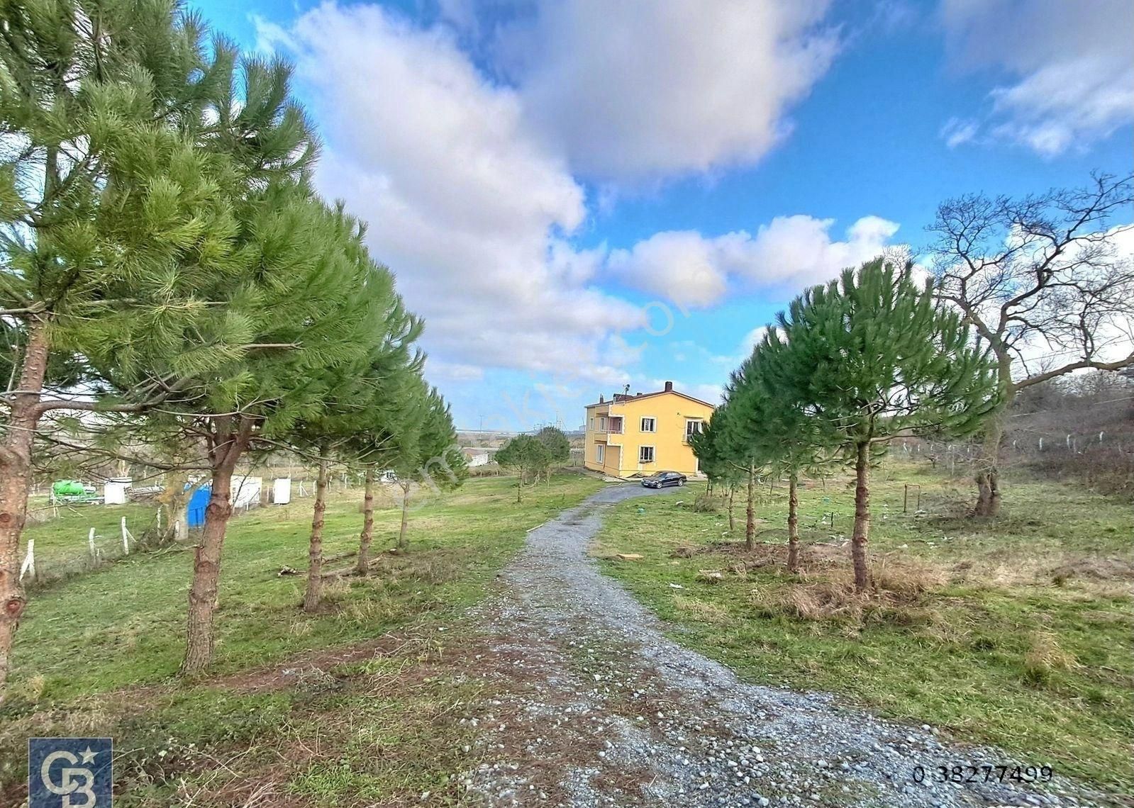 Havalimanına Komşu, Satılık Çiftlik. 11.609 M2 Arsa & Villa. - Görsel 22