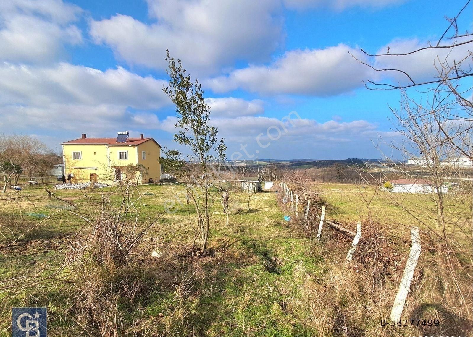 Havalimanına Komşu, Satılık Çiftlik. 11.609 M2 Arsa & Villa. - Görsel 23