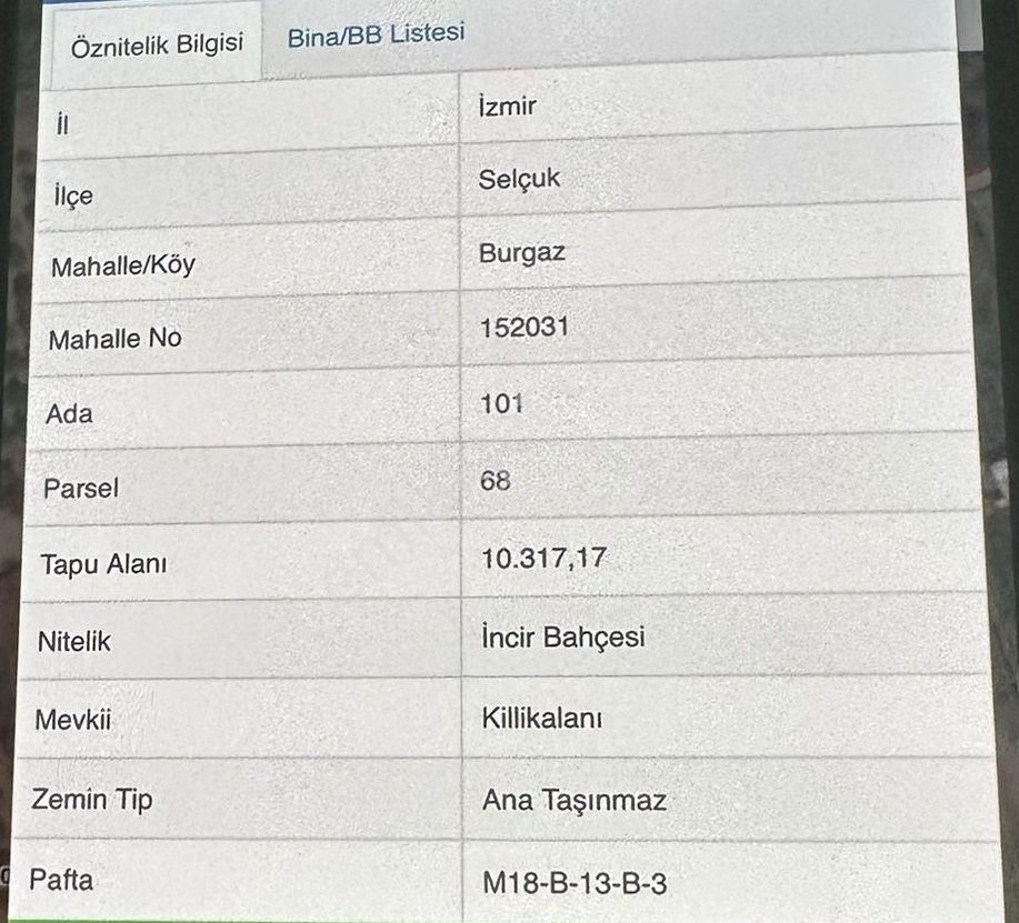 Kuşadası Çamlık Bölgesinde Satılık 2.5 Dönüm İncirlik - Görsel 3