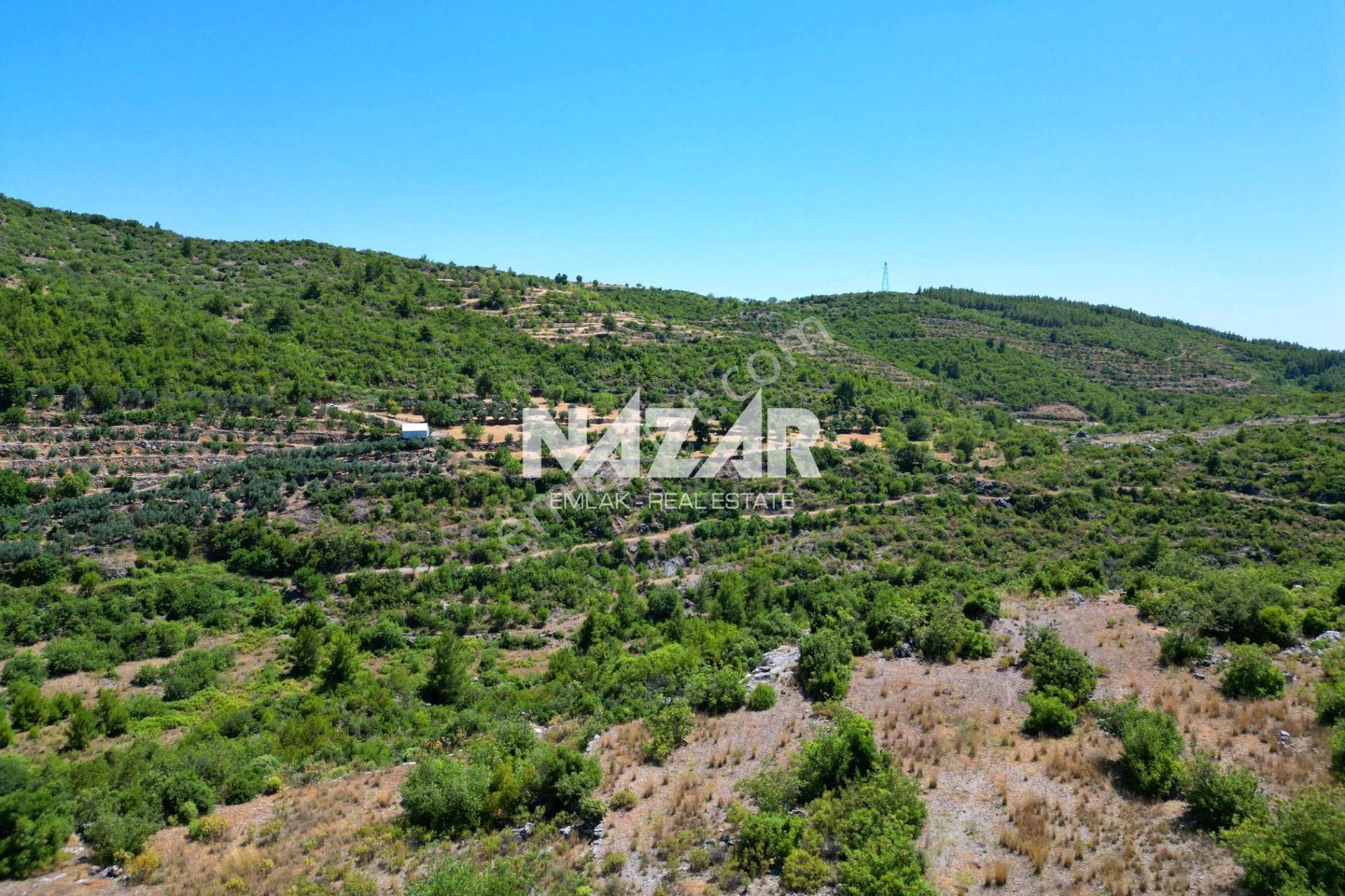 Alanya Gözübüyük’te 30.316 M² Satılık 6 Parsel Tarla - Görsel 6