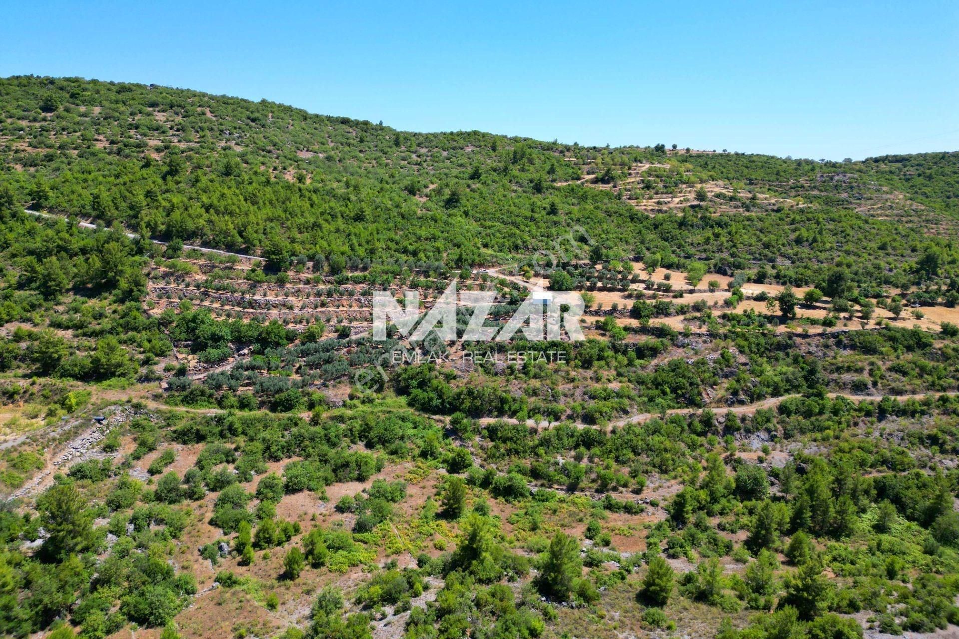 Alanya Gözübüyük’te 30.316 M² Satılık 6 Parsel Tarla - Görsel 15