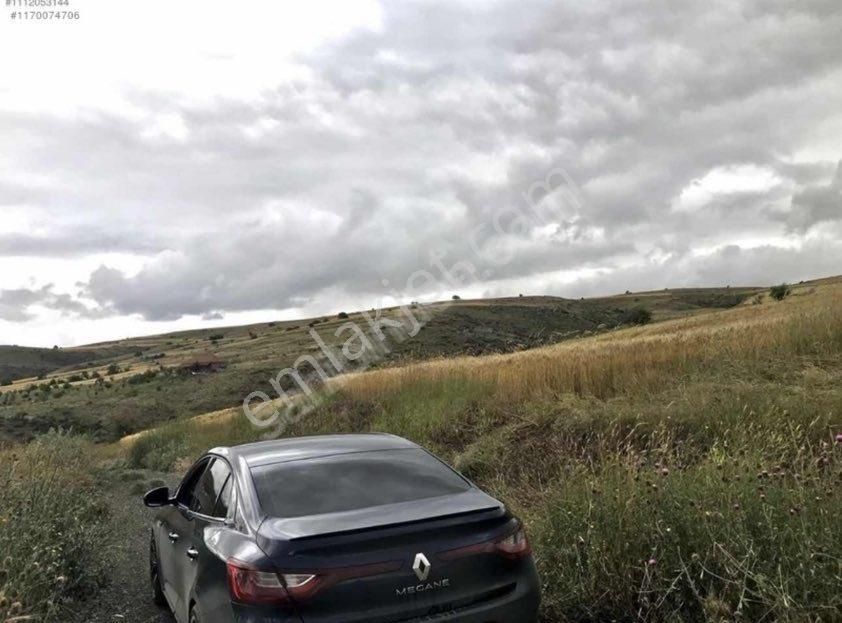 Kayseri Akkışla Şen Mahallesi Yatırımlık Tarla Meraya Komşu