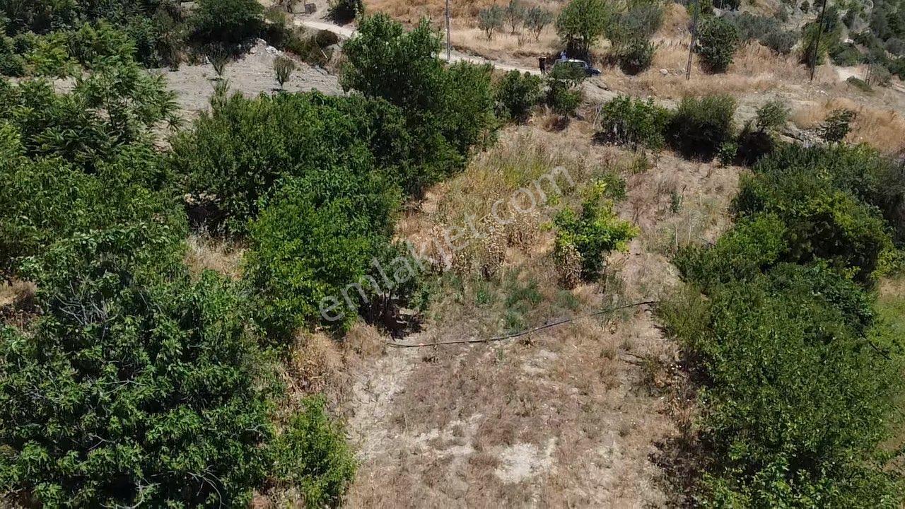 Köy İçi 930 M2 Düz Bahçe Vasfında Elektrik Suya Yakın Arazi - Görsel 30