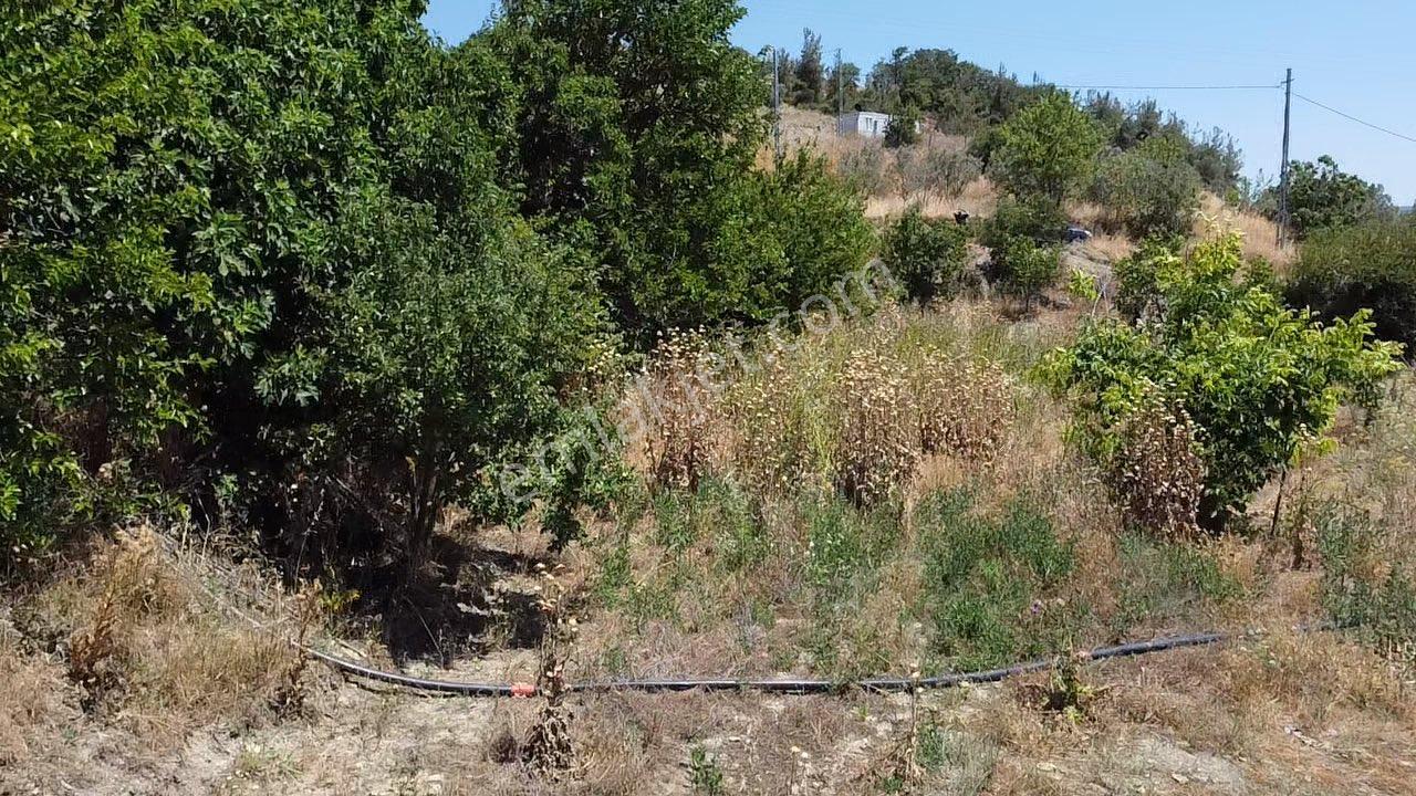 Köy İçi 930 M2 Düz Bahçe Vasfında Elektrik Suya Yakın Arazi - Görsel 28