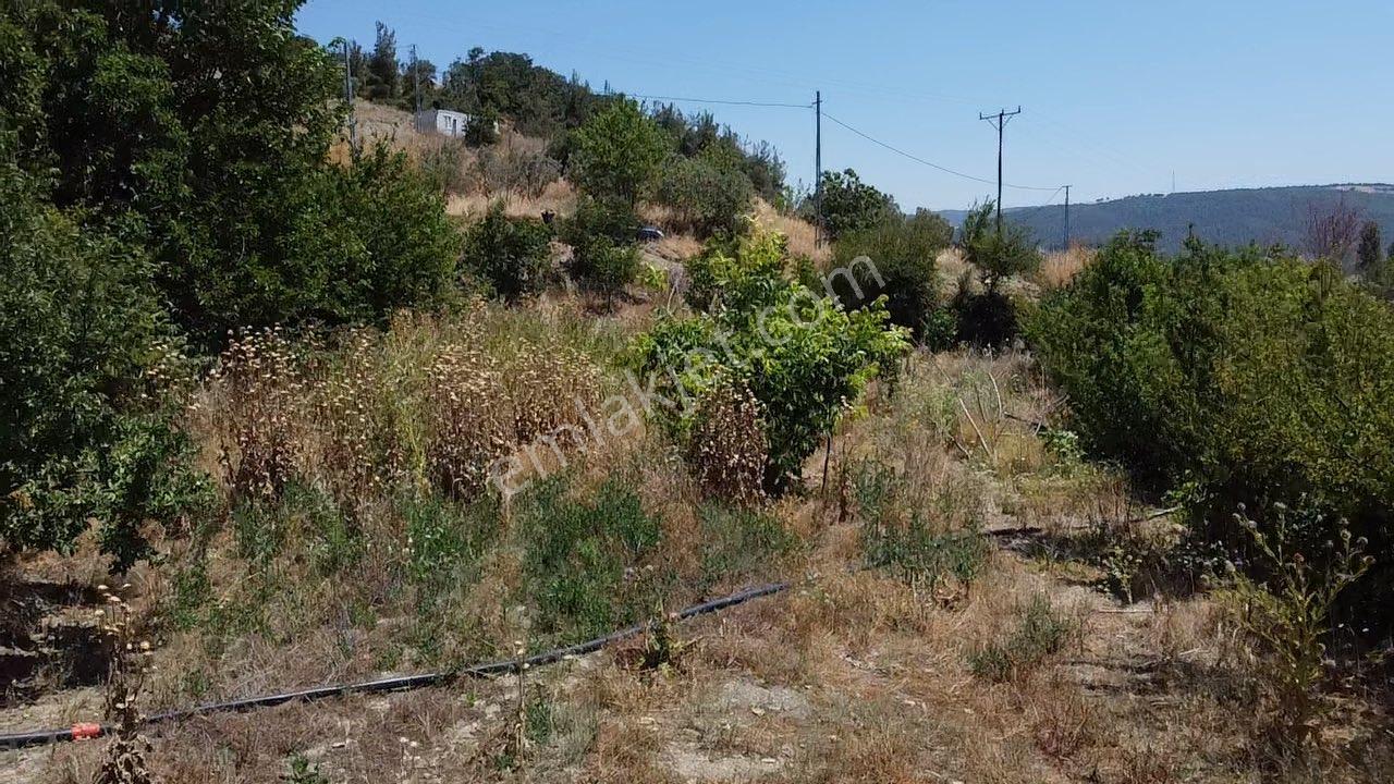 Köy İçi 930 M2 Düz Bahçe Vasfında Elektrik Suya Yakın Arazi - Görsel 29