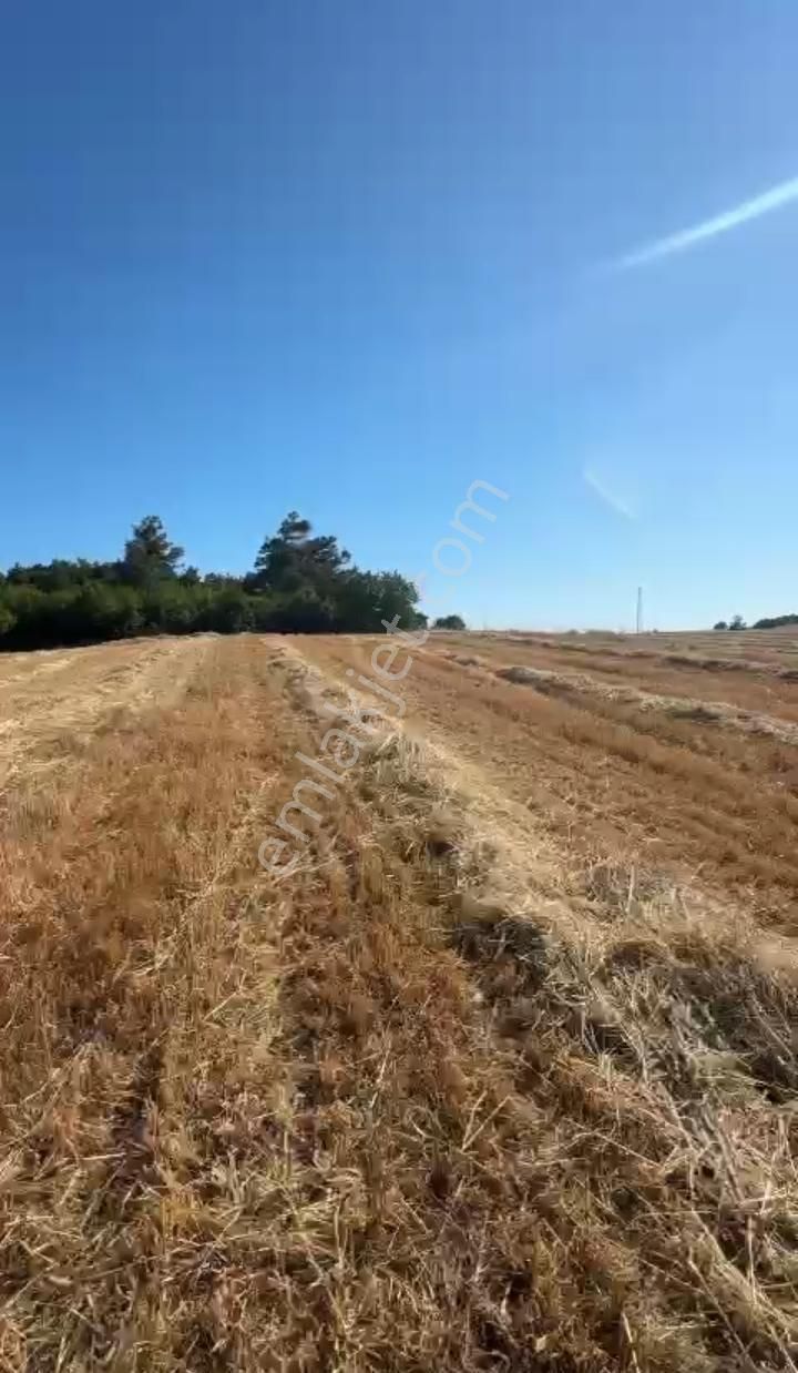 Tekirdağ Malkara 4.474 M2 Müstakil Tapulu Yatırımlık Kupon Arsa
