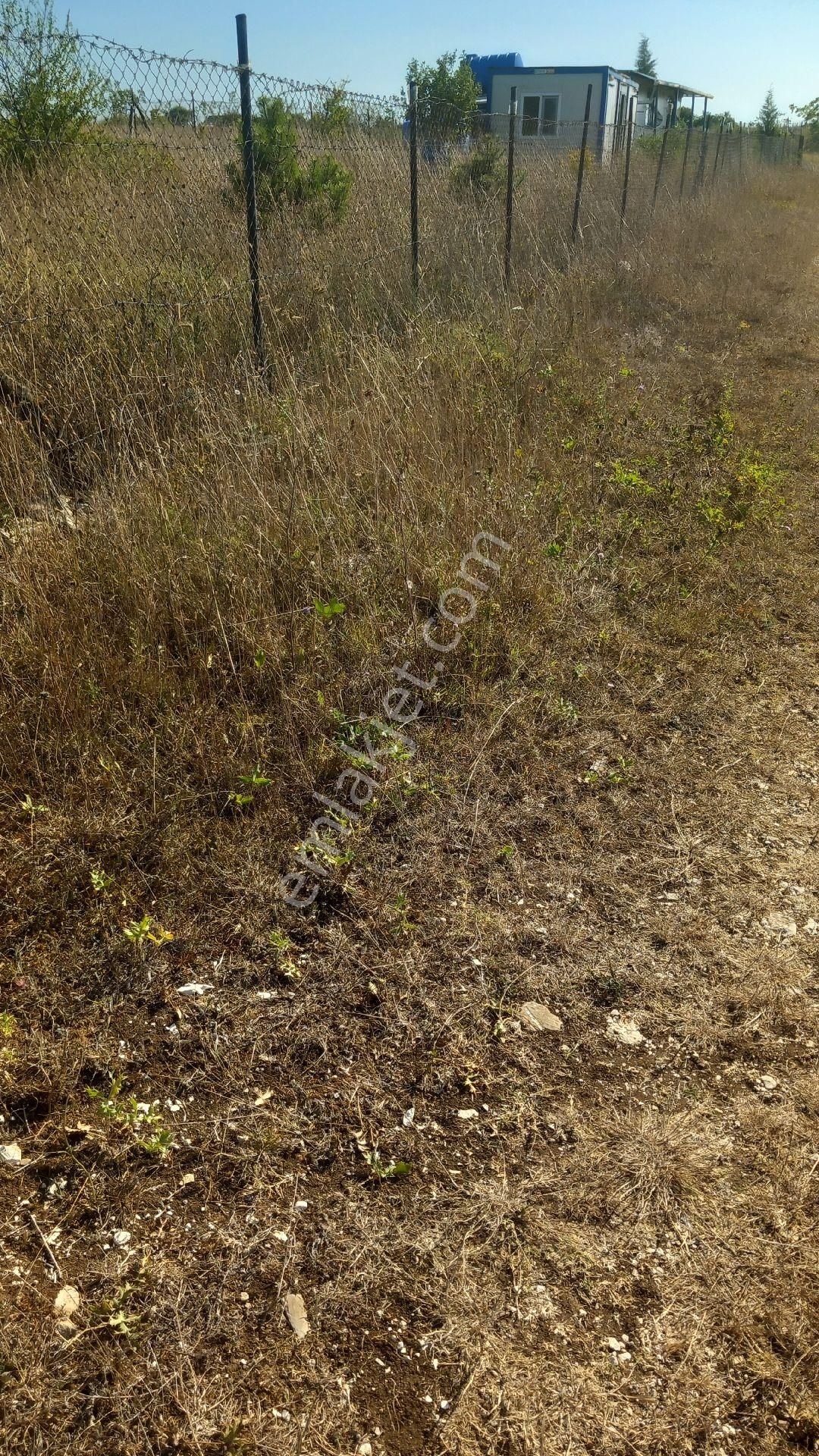 Kocaeli Kandıra Ağaçagıl Mh De - Görsel 5