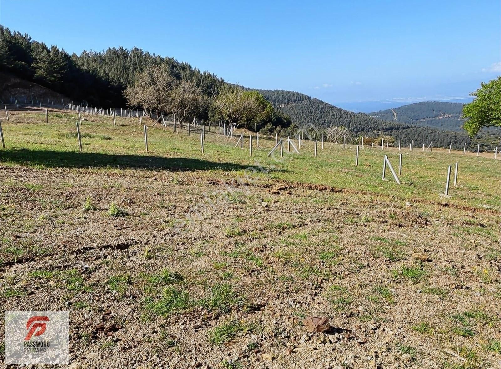 Buca Kaynaklar'da Yatırımlık Arazi - Görsel 2