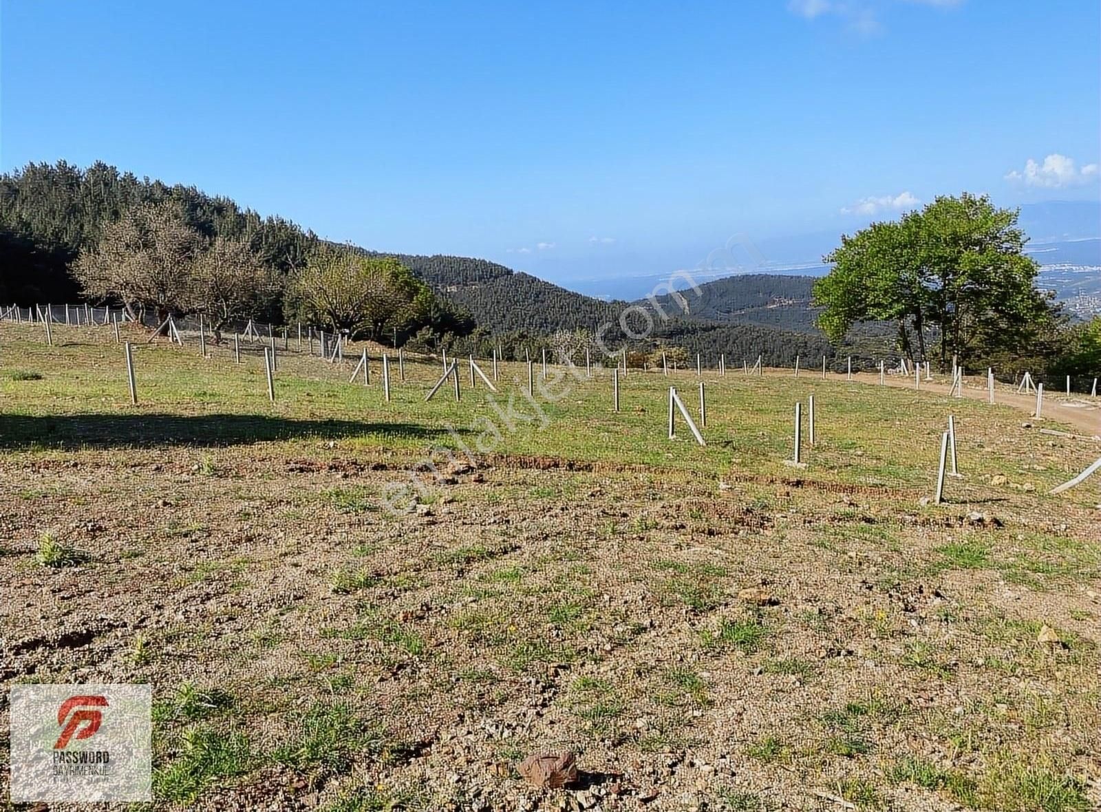 Buca Kaynaklar'da Yatırımlık Arazi - Görsel 15