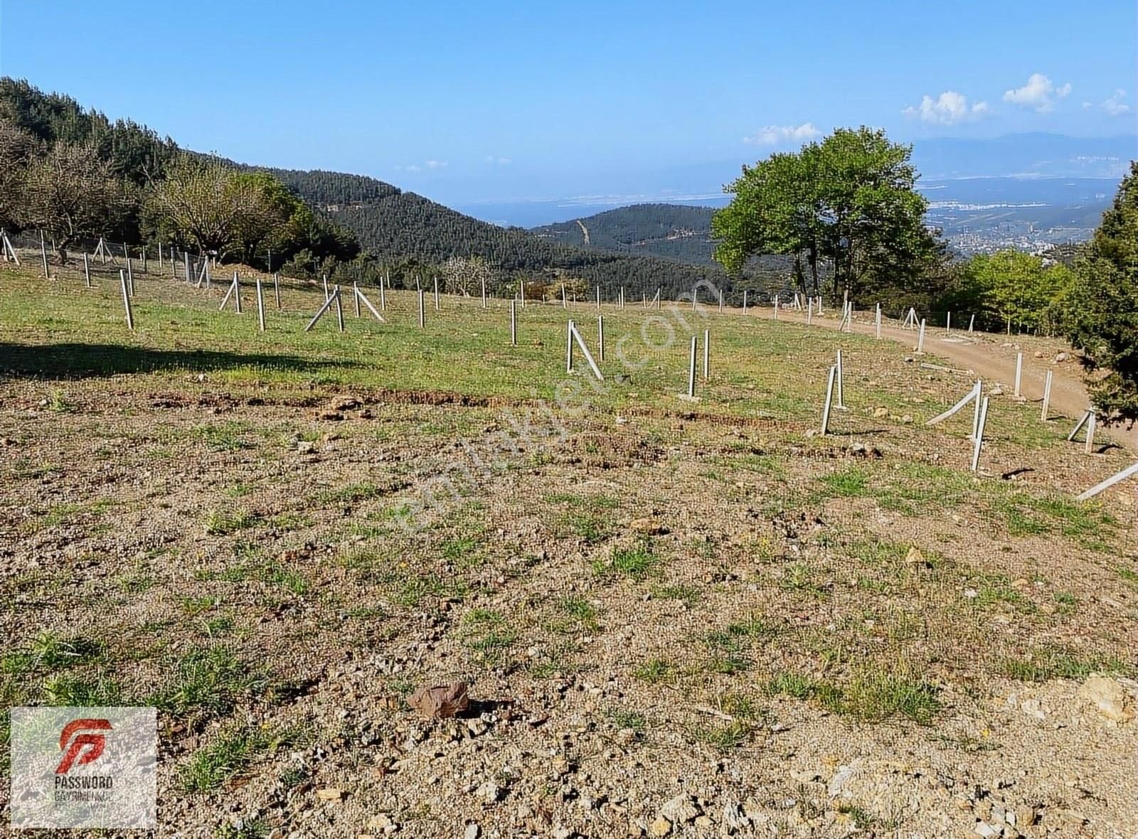 Buca Kaynaklar'da Yatırımlık Arazi - Görsel 9