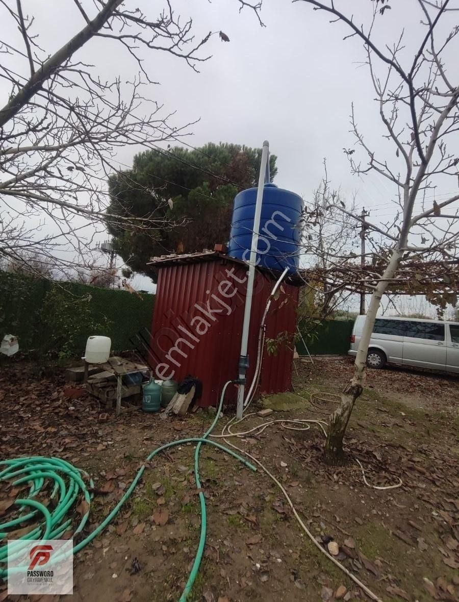 Kemalpaşa Aşağı Mahallede 15 Dönüm Satılık Evli Bahçe - Görsel 10