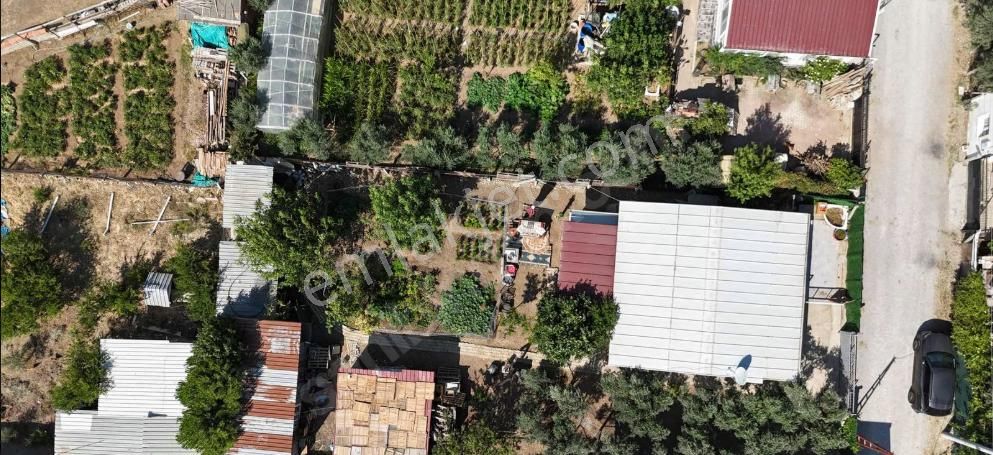 Adnan Menderes Havaalanı Yakınında Satılık İçinde Evi Olan Tarla - Görsel 2