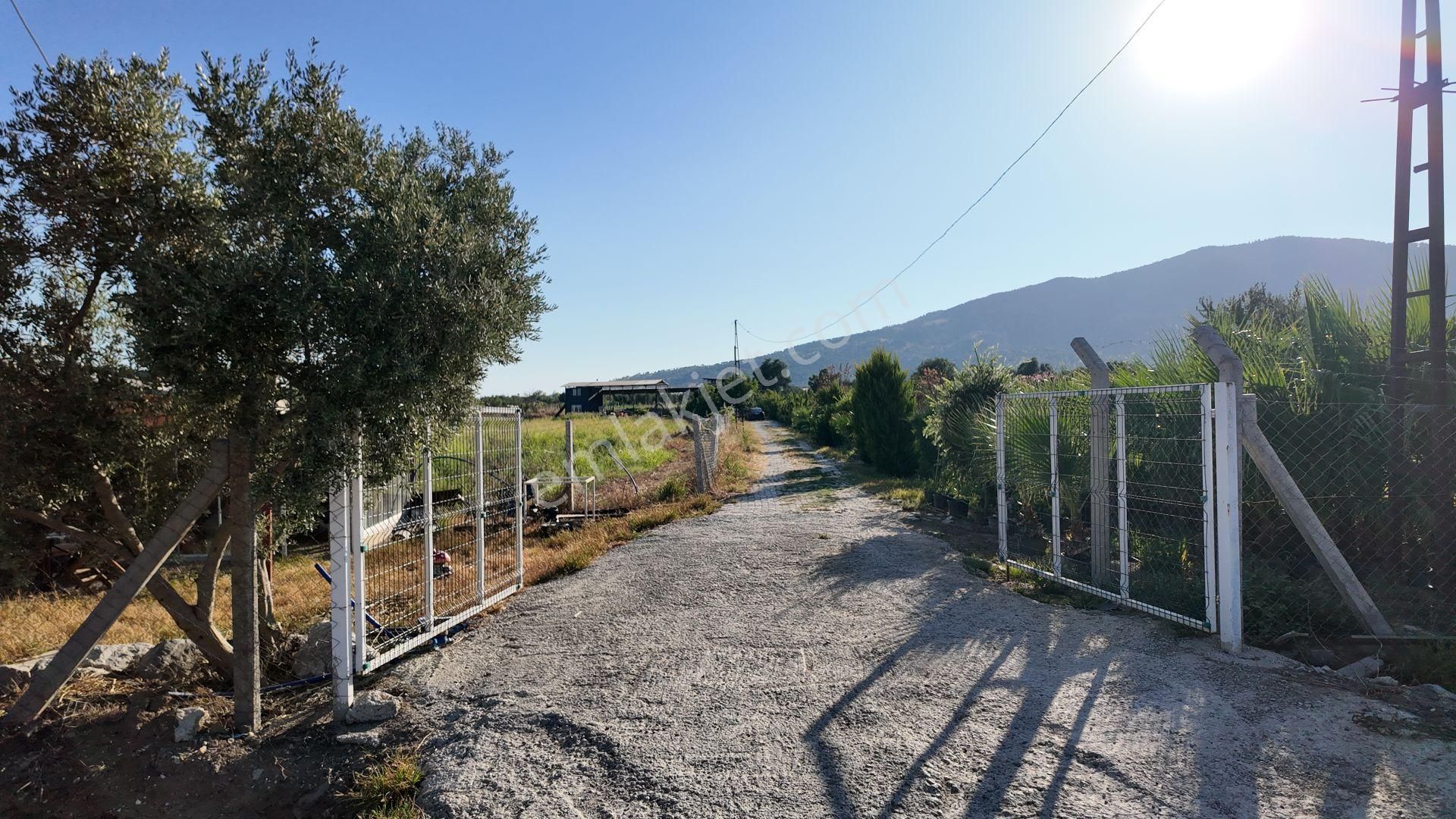 İzmir Bayındır Karahallide Satılık Anayola Yakın Tarla - Görsel 3