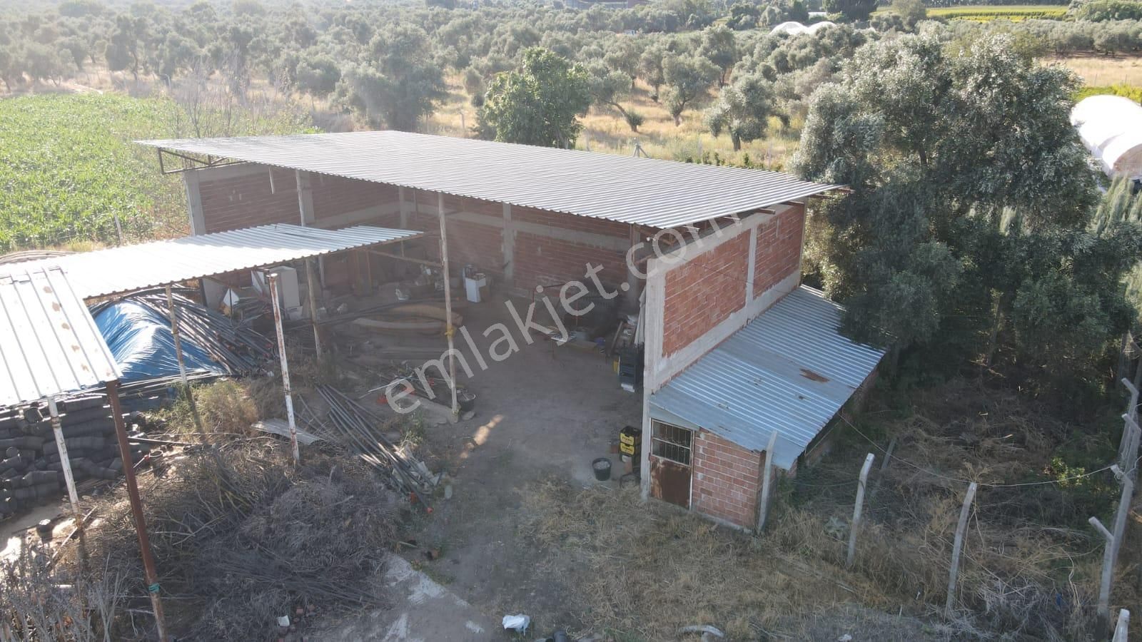 İzmir Bayındır Karahallide Satılık Anayola Yakın Tarla - Görsel 12