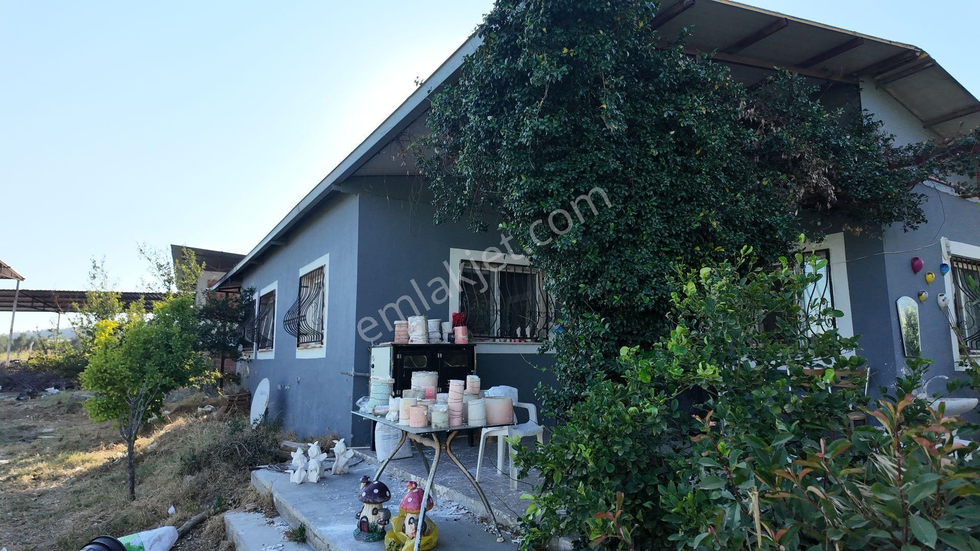 İzmir Bayındır Karahallide Satılık Anayola Yakın Tarla - Görsel 6