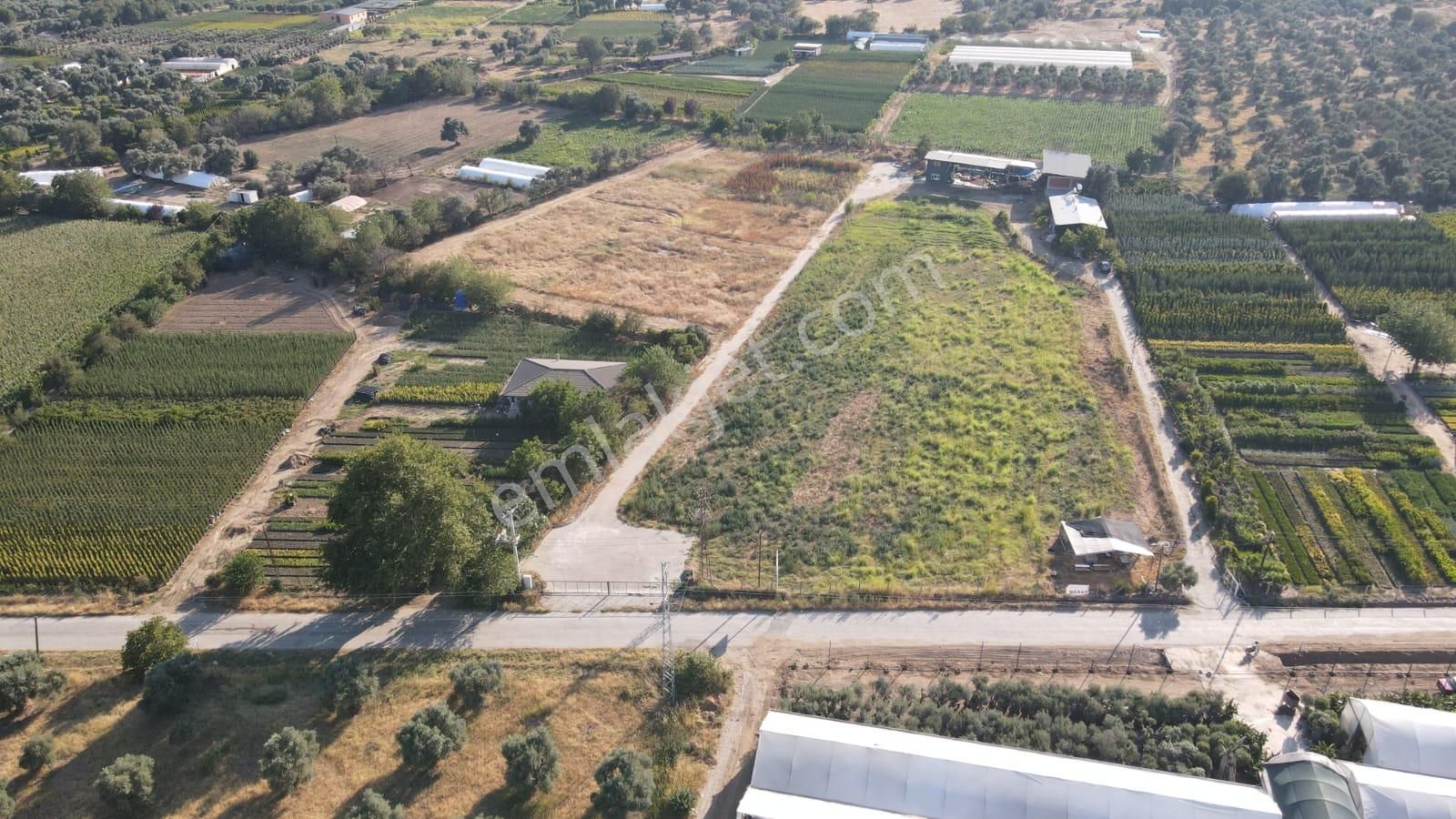 İzmir Bayındır Karahallide Satılık Anayola Yakın Tarla - Görsel 7