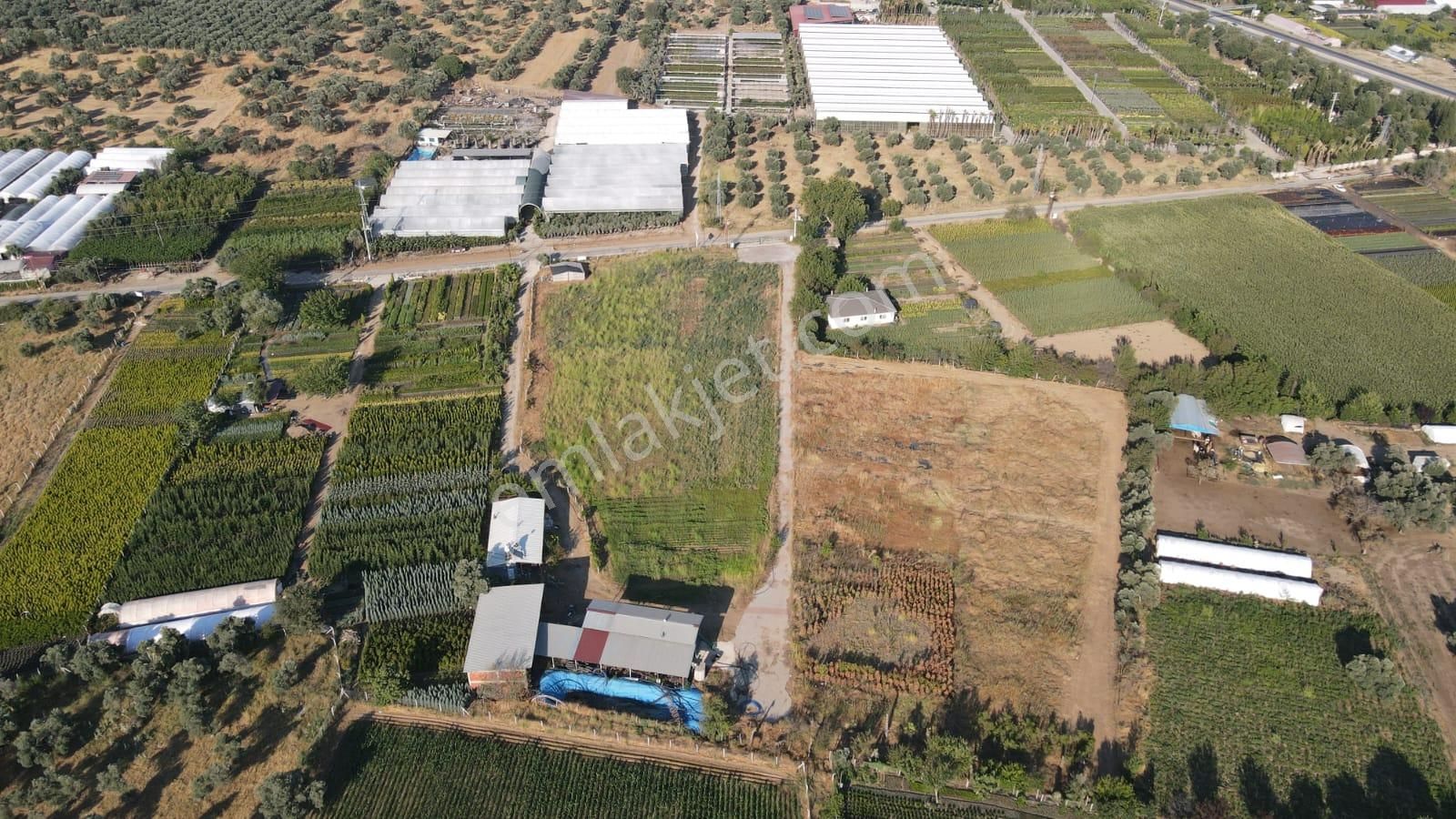 İzmir Bayındır Karahallide Satılık Anayola Yakın Tarla - Görsel 17