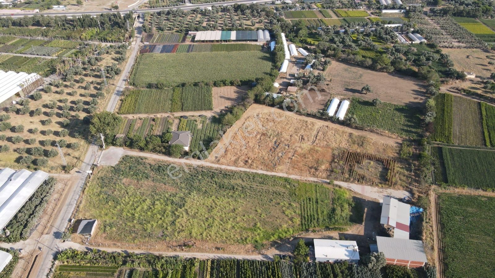 İzmir Bayındır Karahallide Satılık Anayola Yakın Tarla - Görsel 8