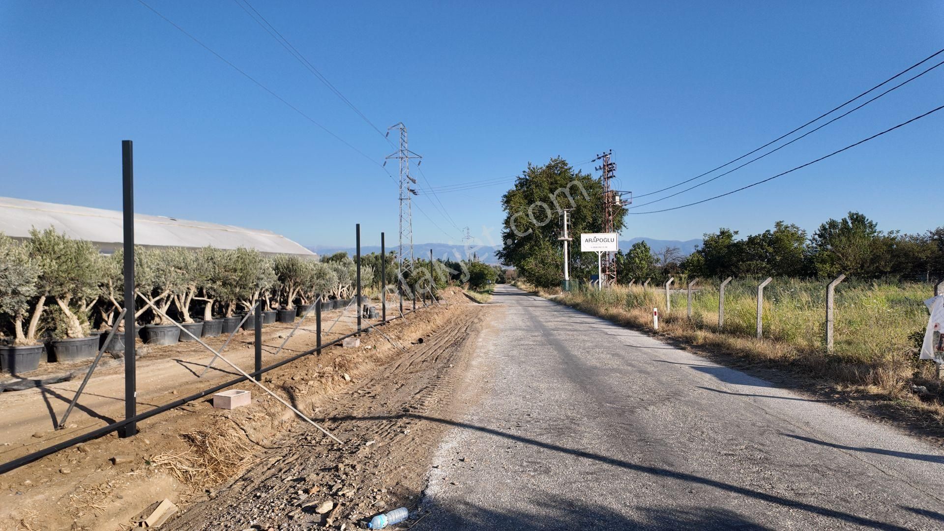 İzmir Bayındır Karahallide Satılık Anayola Yakın Tarla
