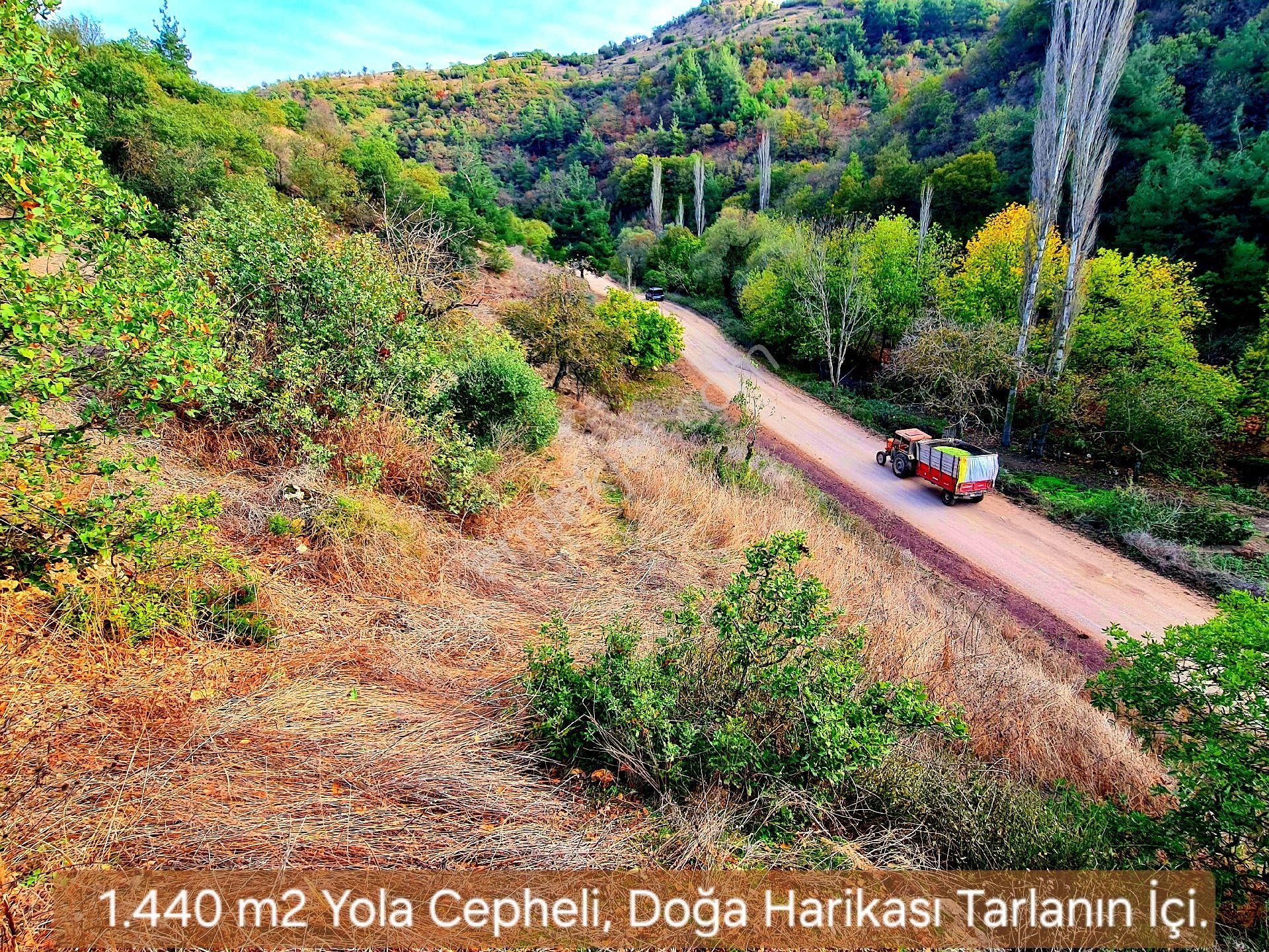Balıkesir Sındırgı Osmanlar'da 1.440 M2 Yola Cepheli Kupon Tarla. Açıklamayı Okuyarak Arayınız.