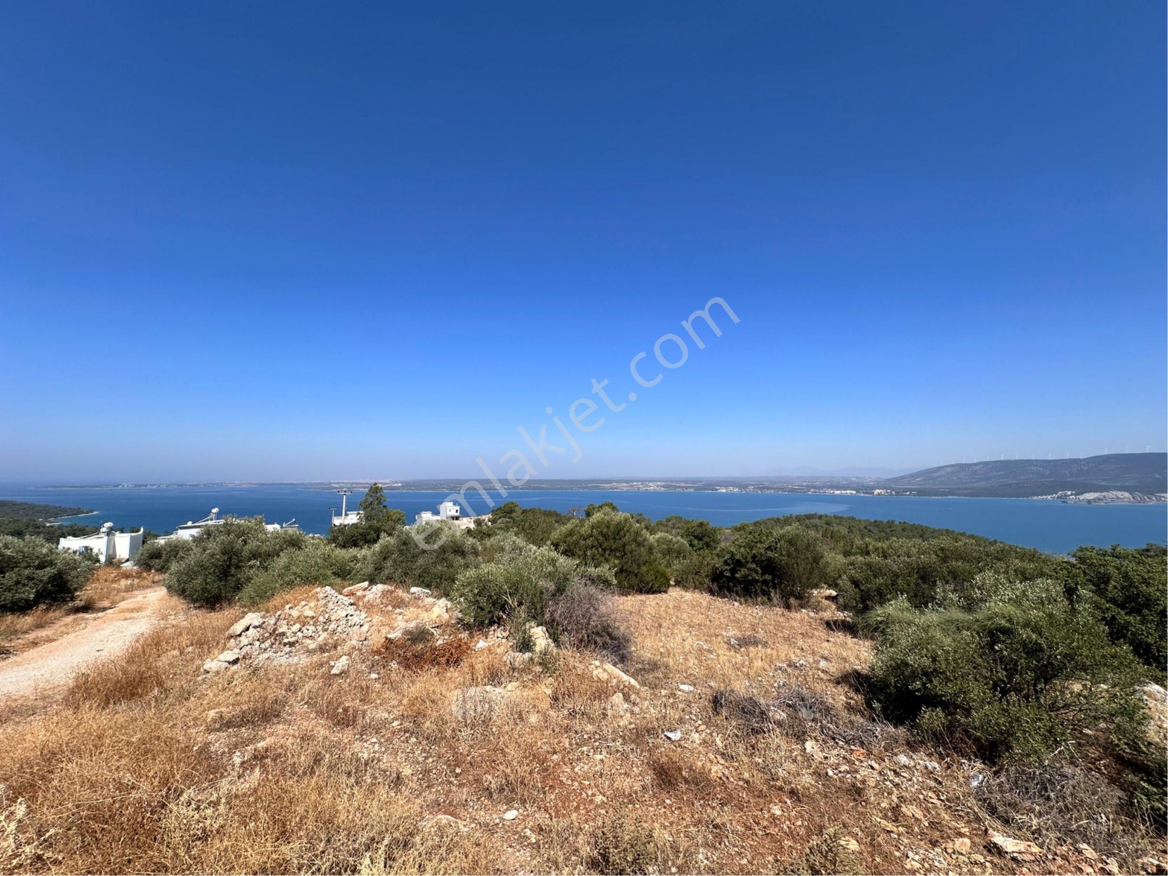 Didim Akbük’te Panorama Deniz Manzaralı 3+1 Satılık Havuzlu Villa - Görsel 14