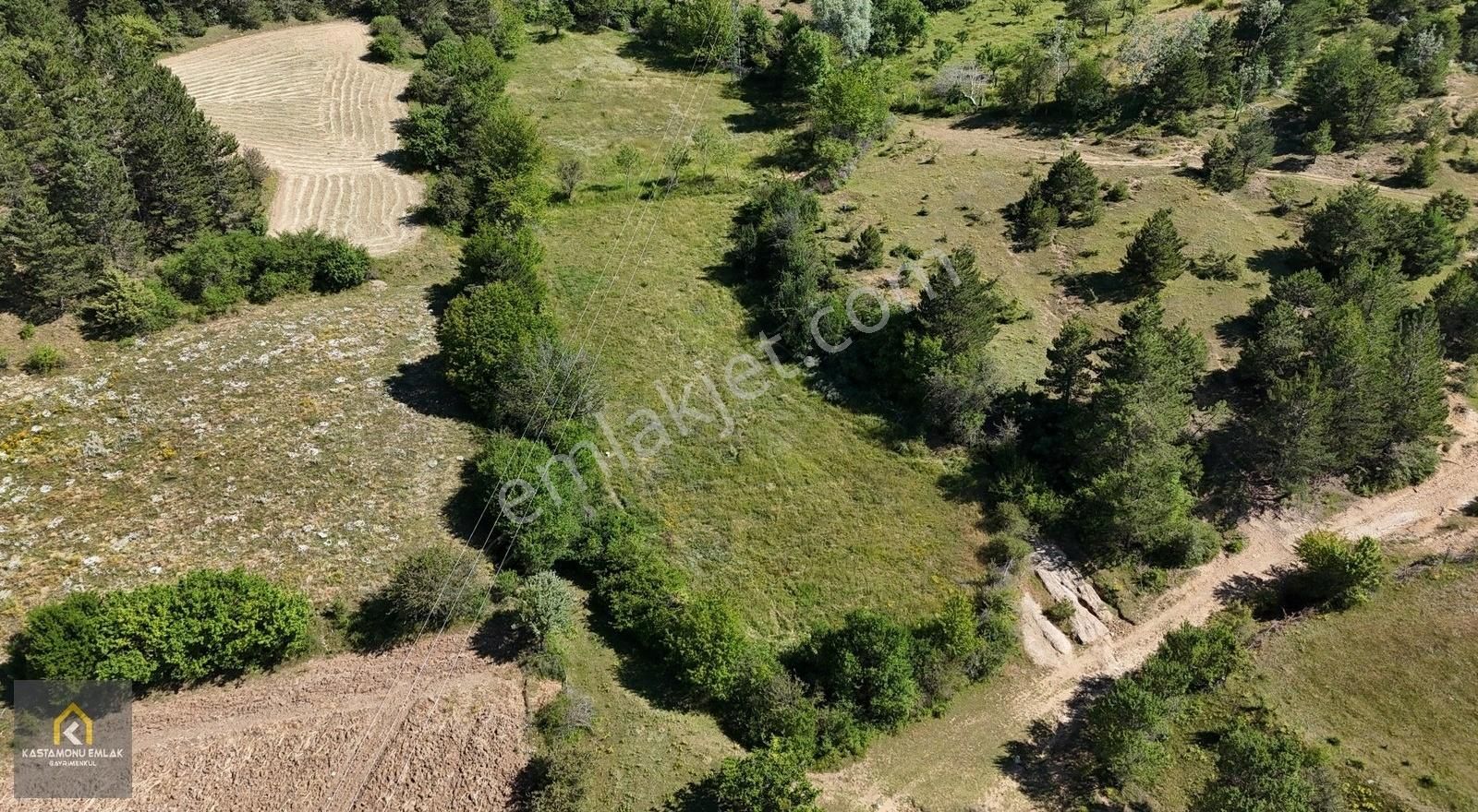 Kastamonu Emlak Gayrimenkul'den Satılık Kayı Köyü 1952 M² Tarla