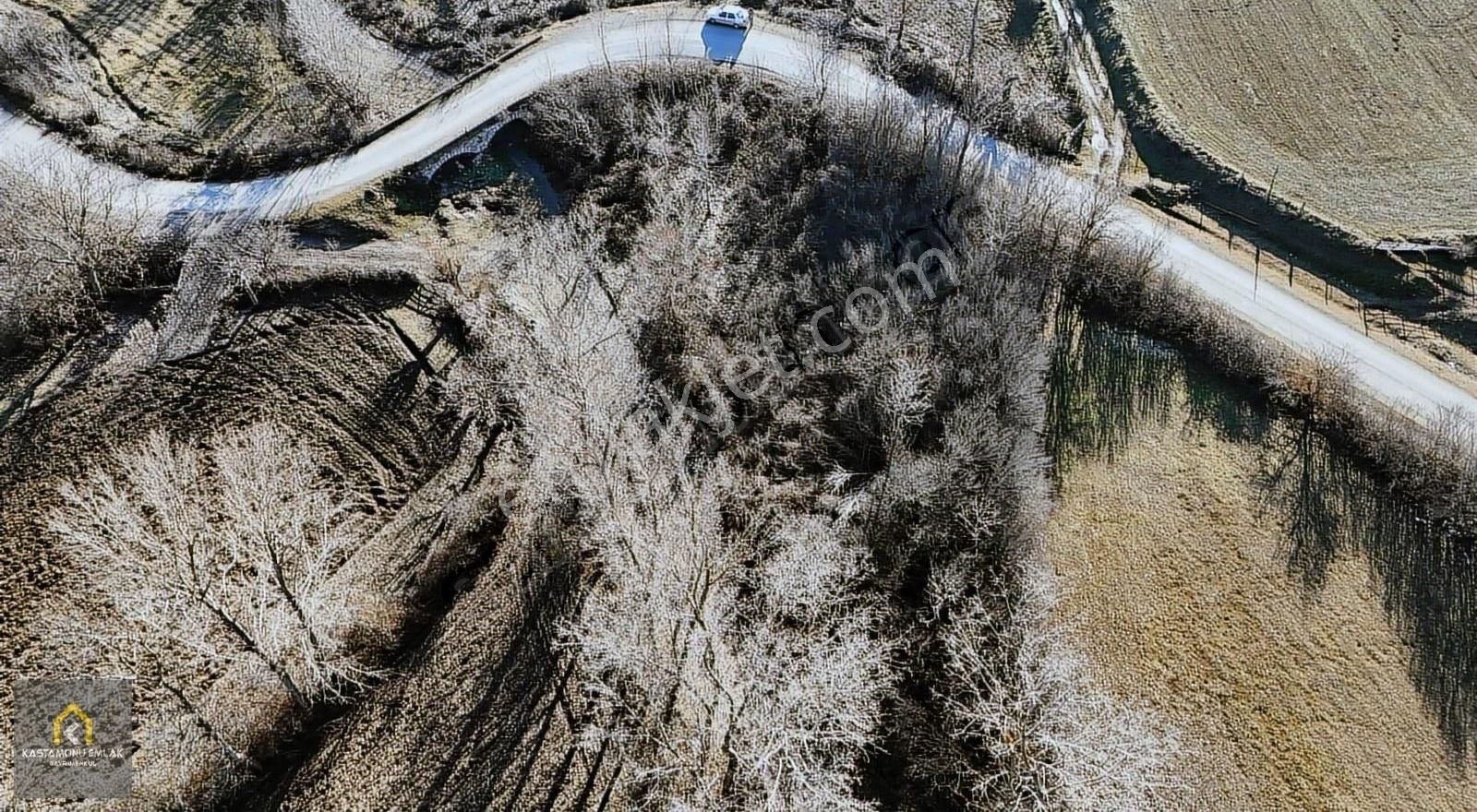 Kastamonu Emlak Gayrimenkulden Satılık Halife Köyü 659 M² Tarla