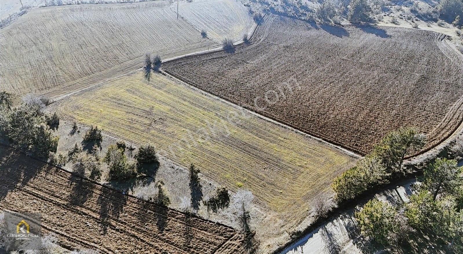 Kastamonu Emlak Gayrimenkul'den Halife Köyü 1944m² Tarla