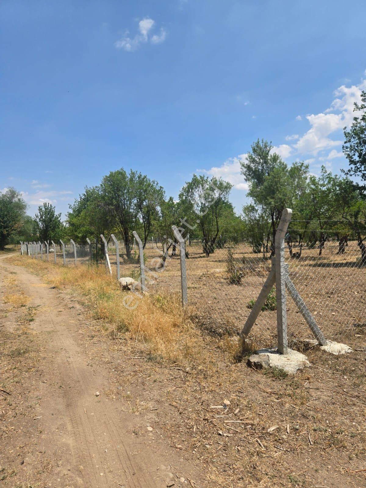 🌿 Hatunsaray Mahallesi’nde 2.520 M² Müstakil Tapulu Satılık Bahçe - Görsel 13