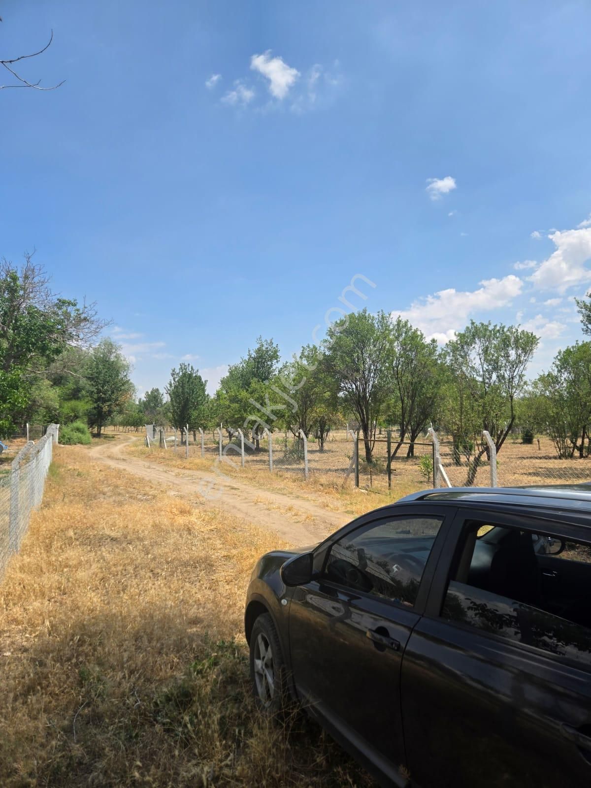 🌿 Hatunsaray Mahallesi’nde 2.520 M² Müstakil Tapulu Satılık Bahçe - Görsel 9