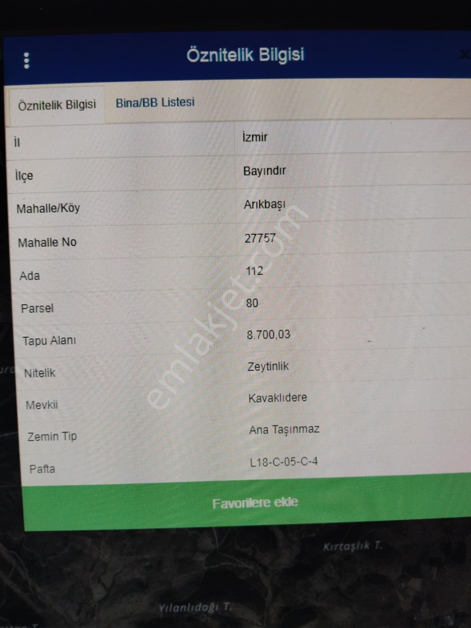 İzmir Bayındır Arık Başında 8700 M2 Zeytinlik - Görsel 2